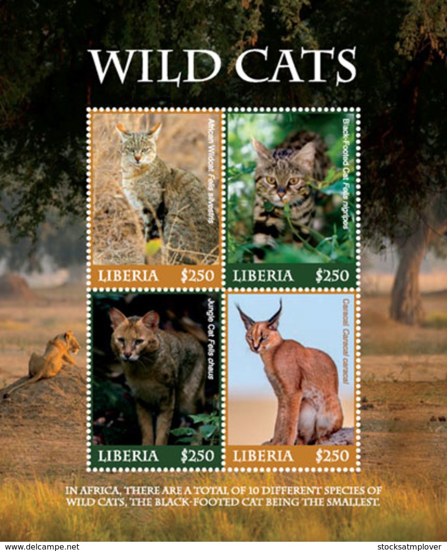 Liberia 2018  Fauna  Wid Cats ,  Caracal I201901 - Liberia