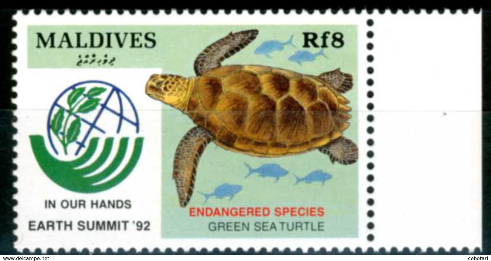 MALDIVES 1992** - Tartaruga / Turtle - 1 Val. MNH, Come Da Scansione. - Tartarughe