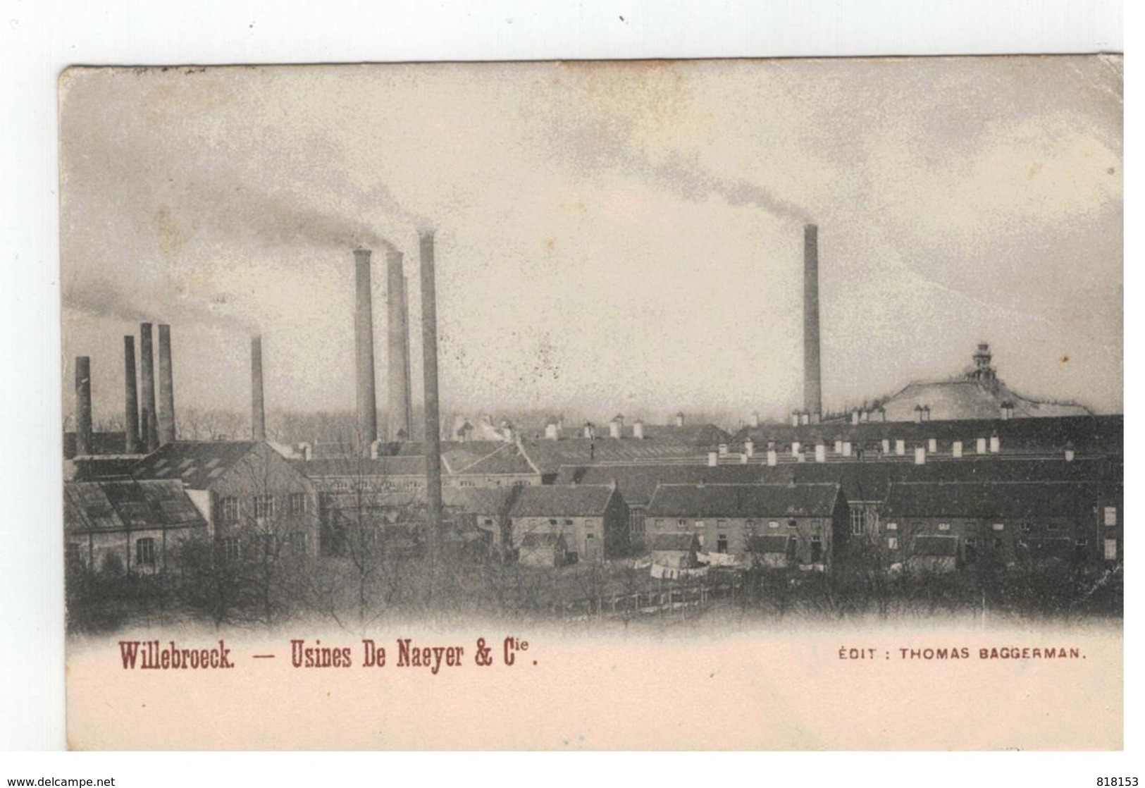 Willebroeck - Usines De Naeyer & Cie 1902 - Willebroek