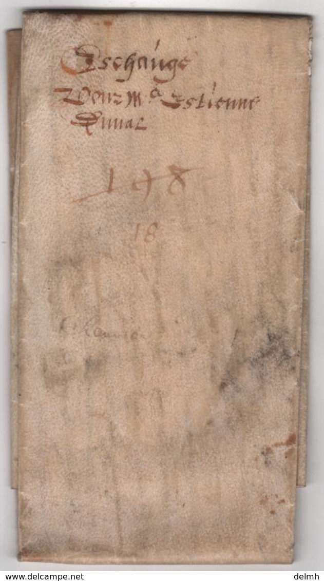 Parchemin Manuscrit Sur Peau 42 Par 23 Cm 16ème Sciècle à Déchiffrer - Manuscripts