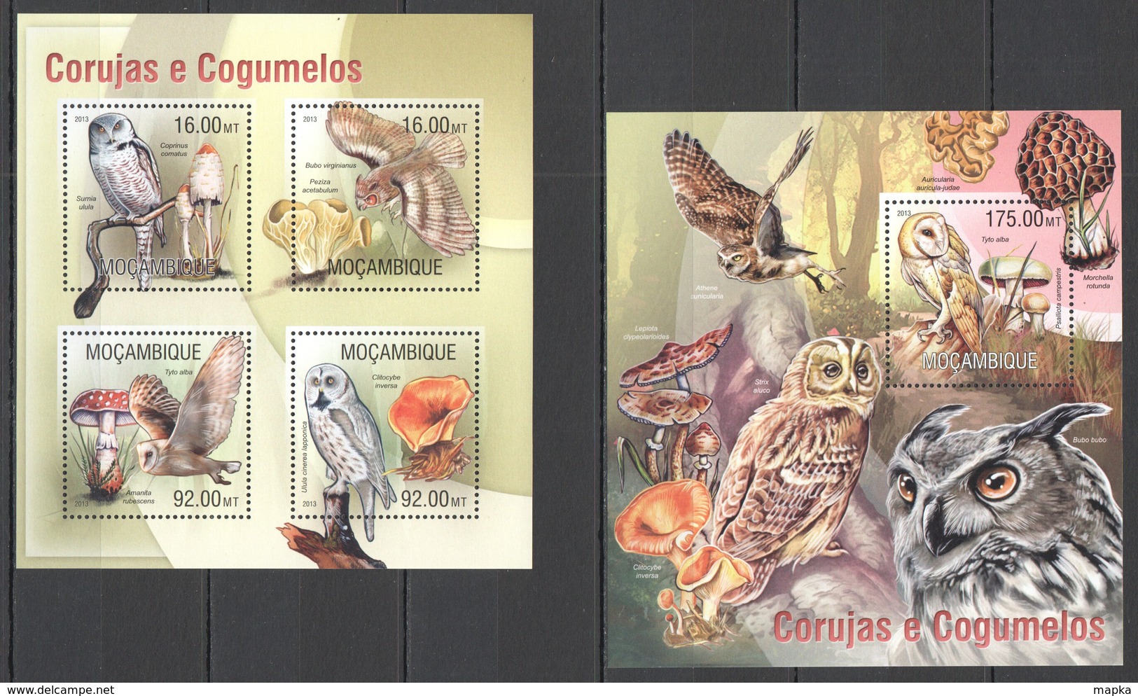 ST2546 2013 MOZAMBIQUE MOCAMBIQUE FLORA & FAUNA MUSHROOMS BIRDS OWLS CORUJAS KB+BL MNH - Gufi E Civette