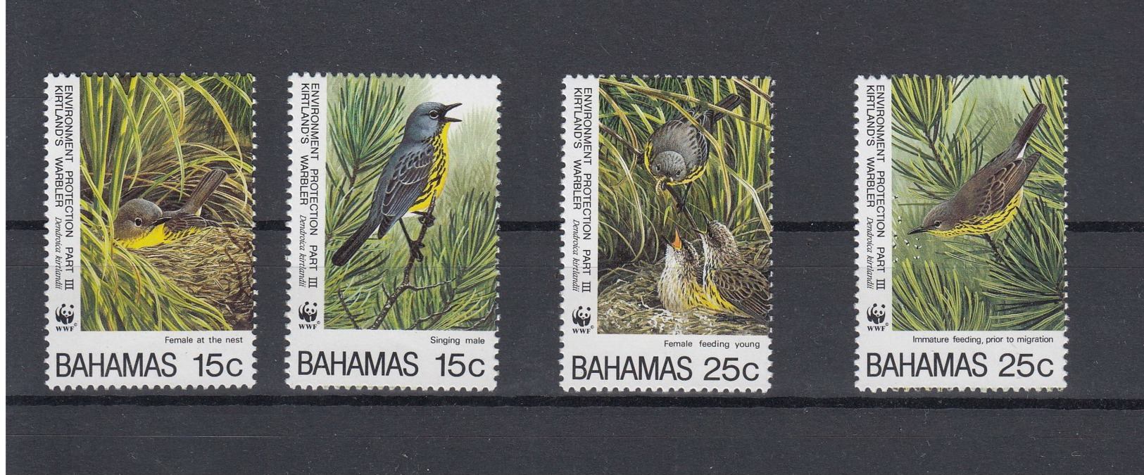 Bahamas Michel Cat.No.  Mnh/** 866/869 Wwf Birds - Bahama's (1973-...)