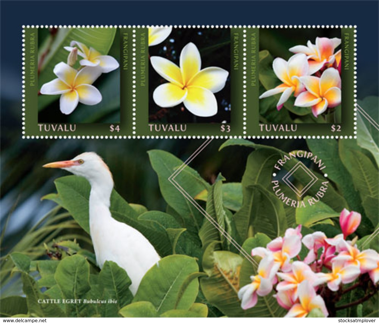 Tuvalu  2019  Plumeria Flower   I201901 - Tuvalu