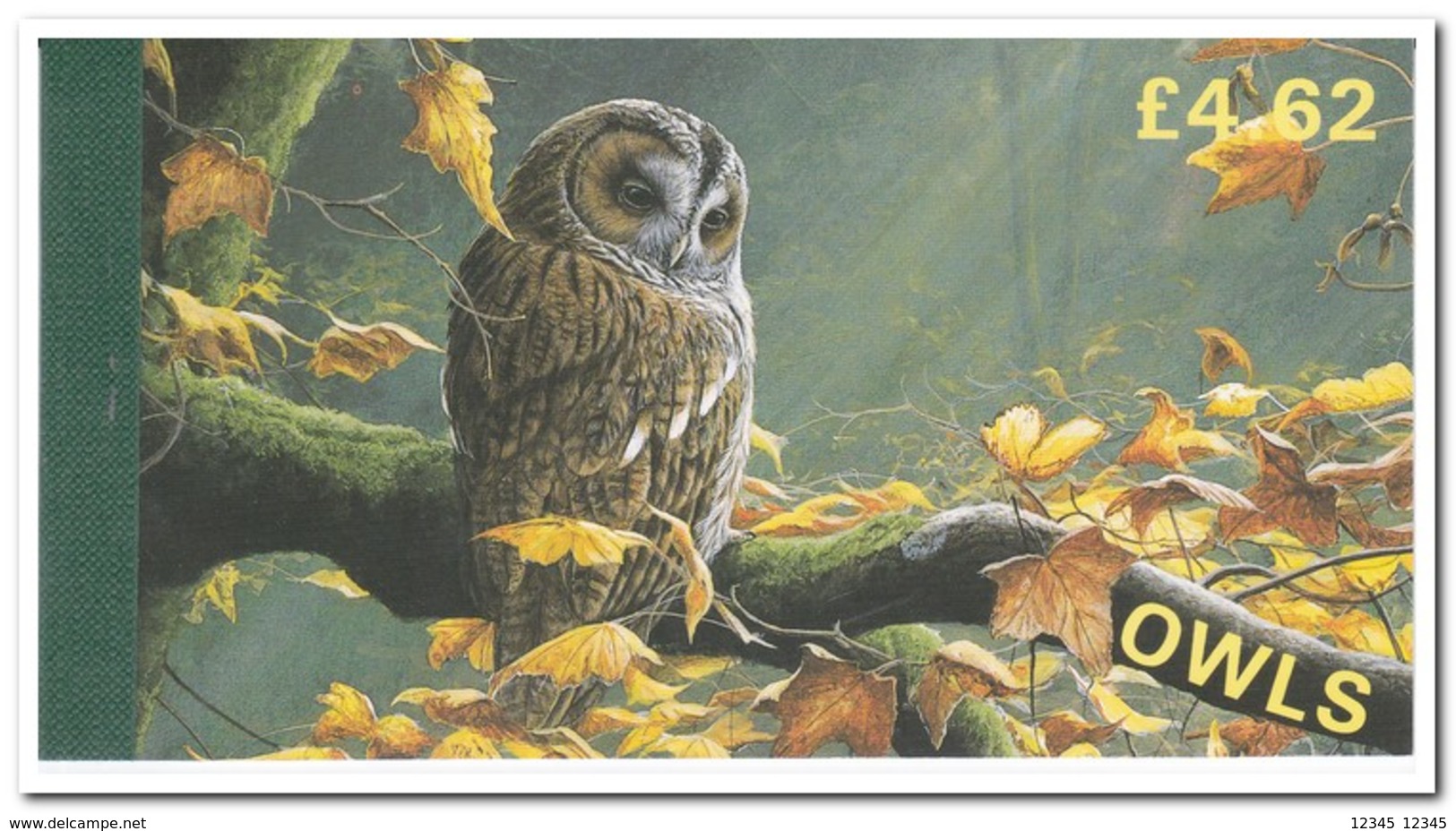 Man 1997, Postfris MNH, Owls, Birds ( Booklet, Carnet ) - Man (Eiland)