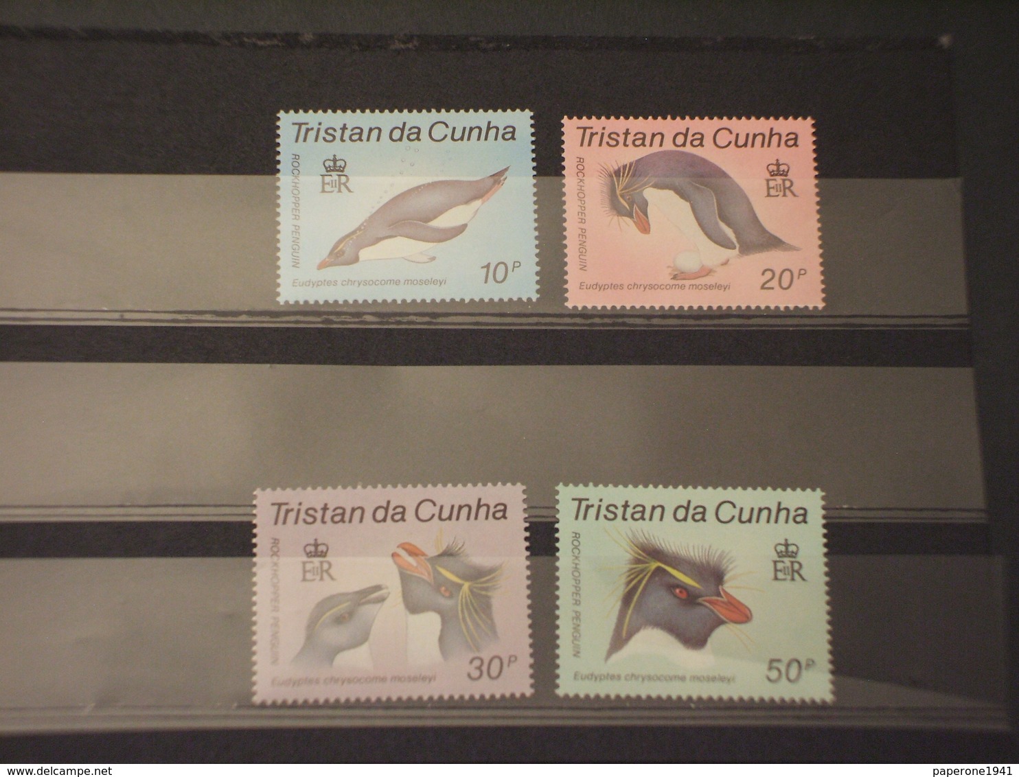 TRISTAN DA CUNHA - 1987 FAUNA 4 VALORI - NUOVI(++) - Tristan Da Cunha