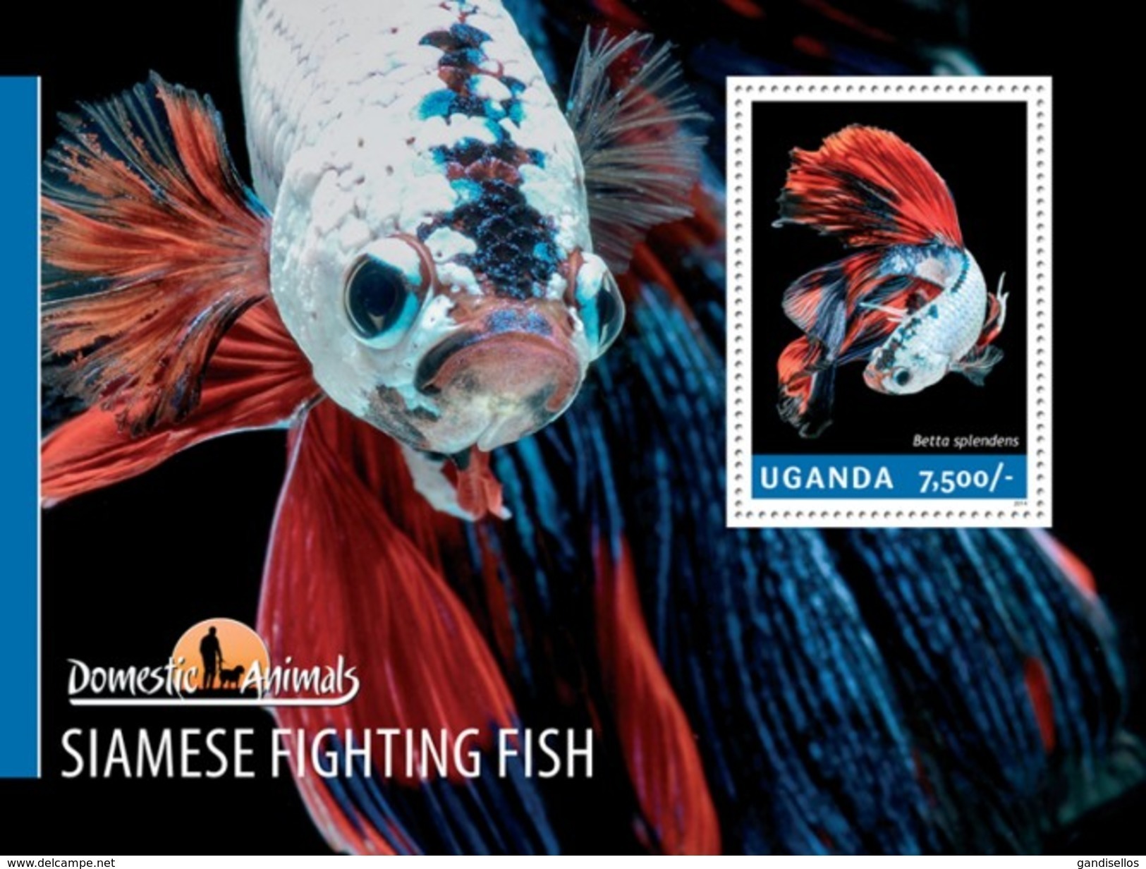 UGANDA 2014 SHEET SIAMESE FIGHTING PECES FISHES POISSONS MARINE LIFE Ugn14206b - Uganda (1962-...)