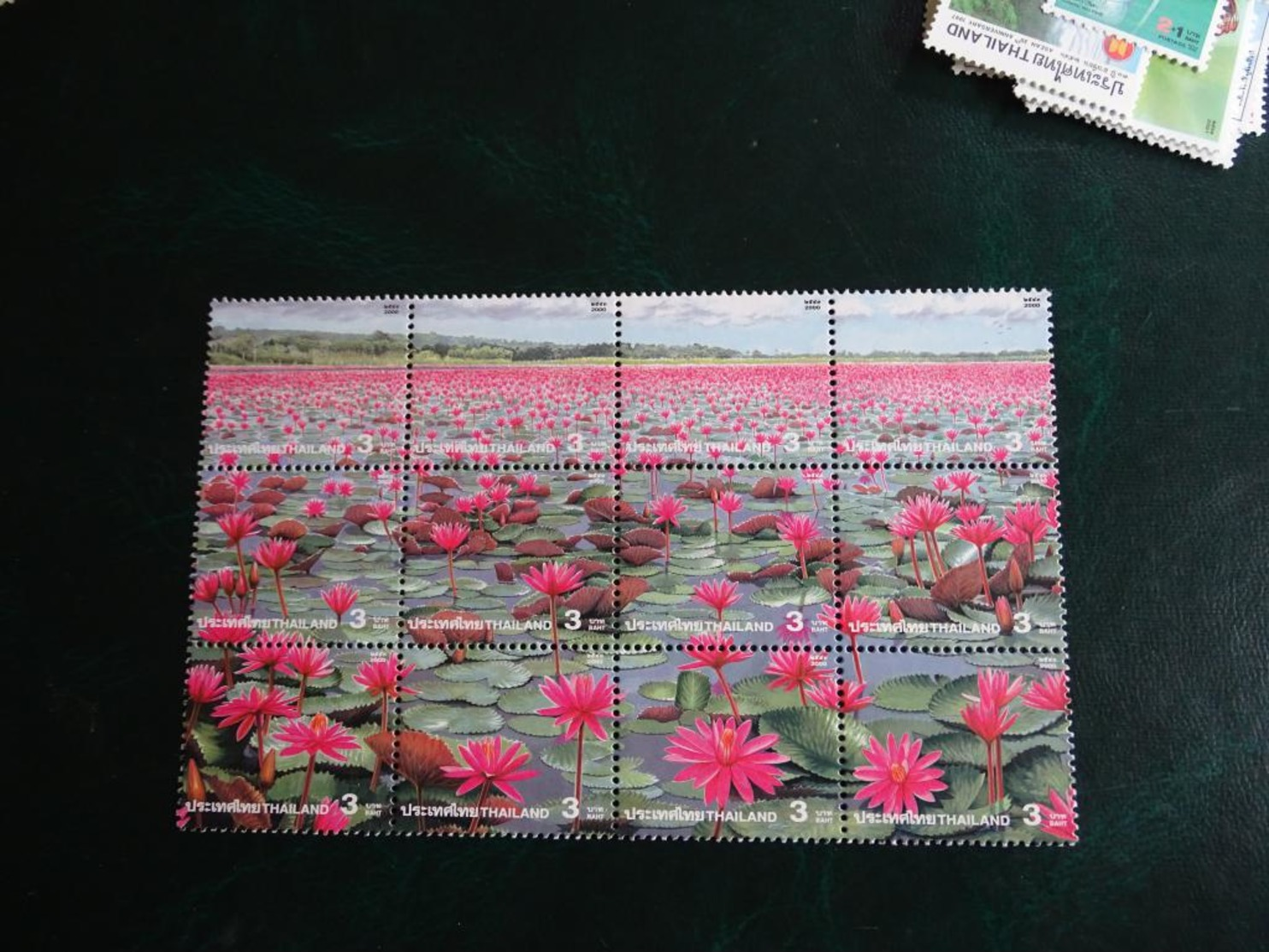 Planche Timbre X 12 - Thaïlande 3 - Fleurs - - Thailand