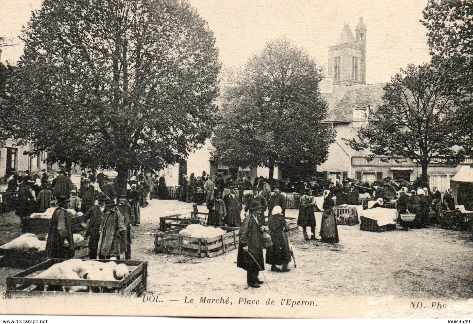 Dol  De  Bretagne -   Le  Marché  Aux  Cochons -   Place  De  L' éperon. - Dol De Bretagne