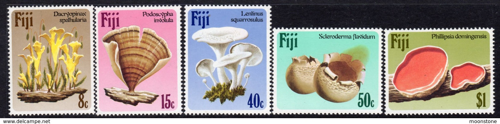 Fiji 1984 Fungi Set Of 5, MNH, SG 670/4 (BP2) - Fiji (1970-...)