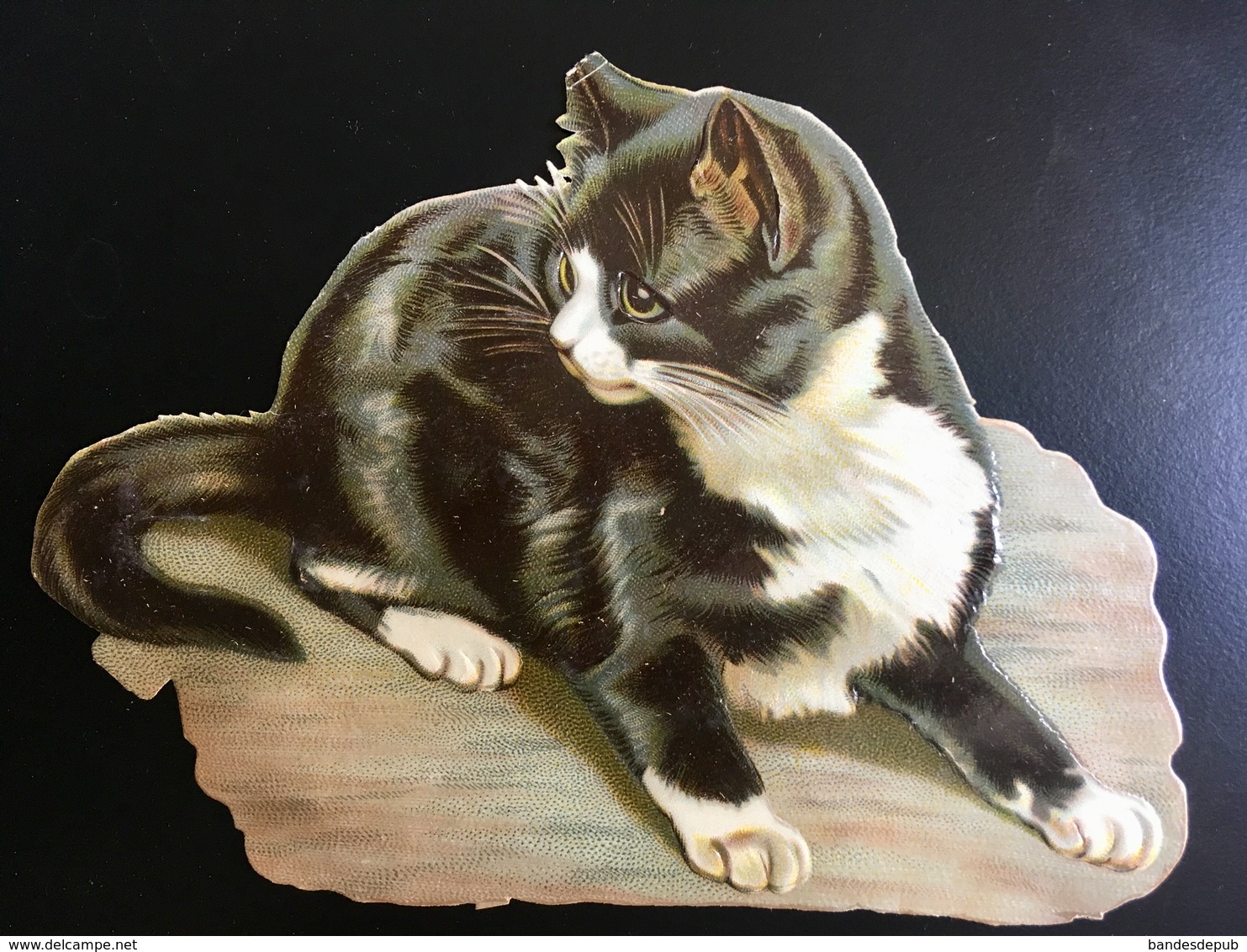 Superbe Chromo Decoupis   Chat 13cm X 17 Cm 1890 - Animals