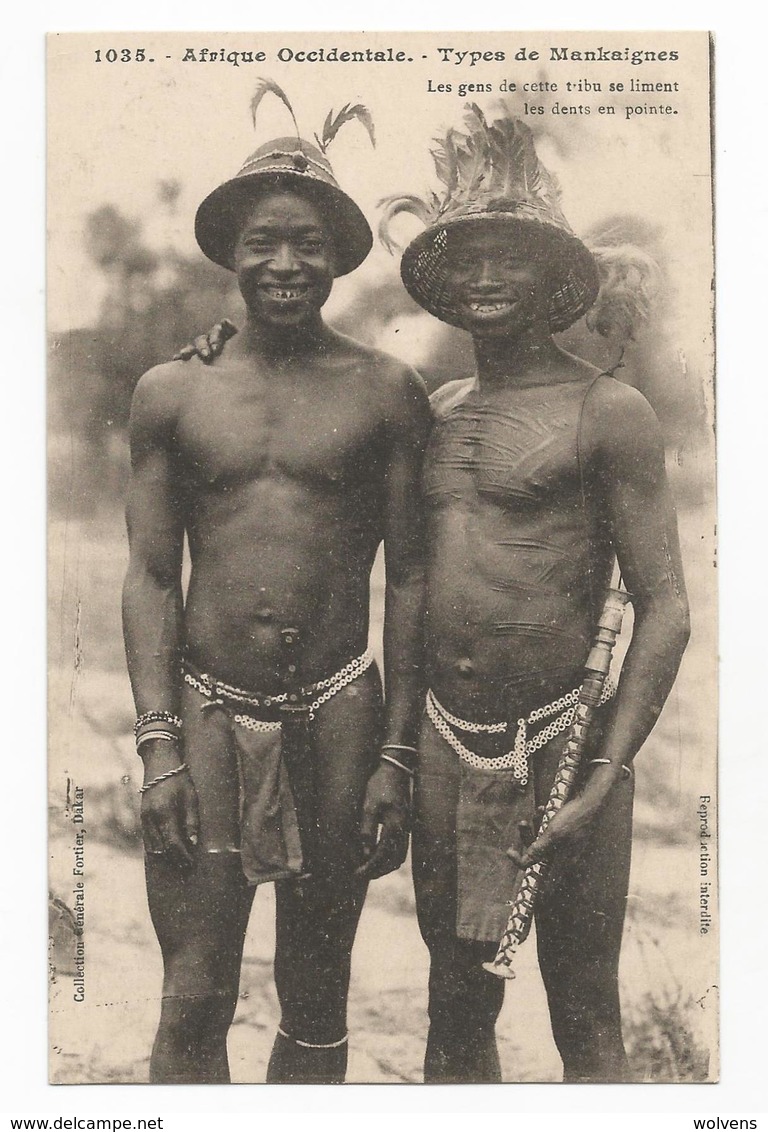 Sénégal Types De Mankaignes Avec Les Dents Limées En Pointe Carte Postale Ancienne - Sénégal