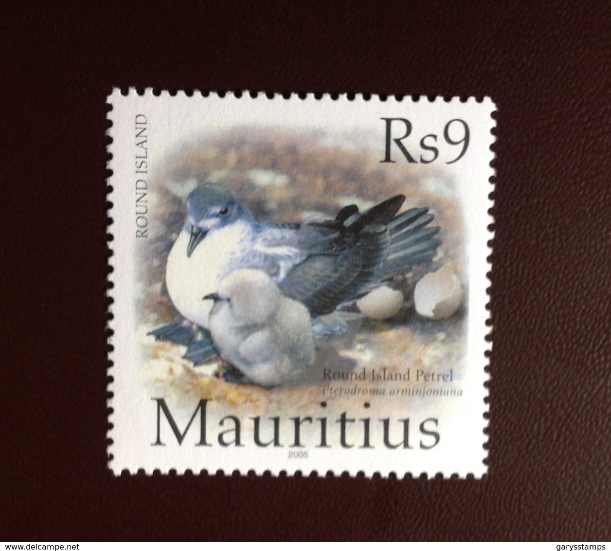 Mauritius 2005 Round Island Only Birds From Set MNH - Other & Unclassified