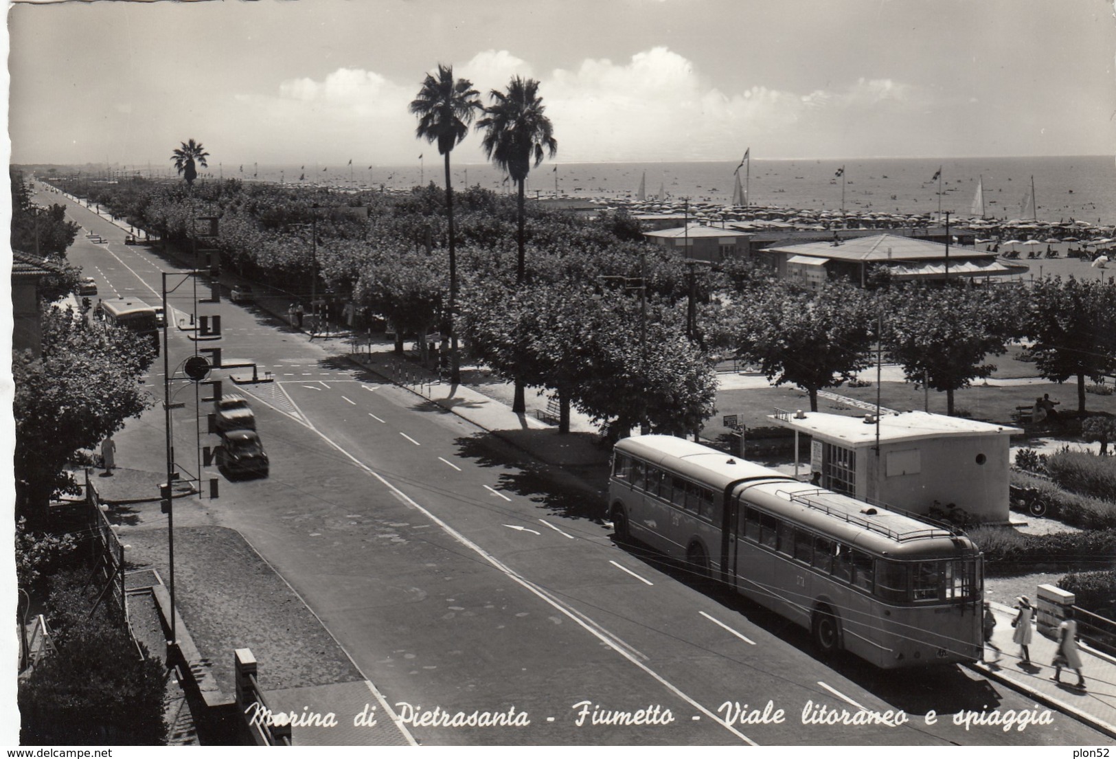 12564-PULLMAN DITTA SITA-MARINA DI PIETRASANTA(LUCCA)-FG - Autobus & Pullman