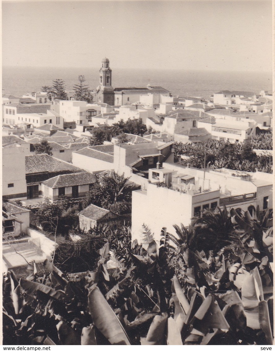 TENERIFE PUERTO DE LA CRUZ 1956 Photo Amateur Format Environ 7,5 Cm X 5,5 Cm - Lugares