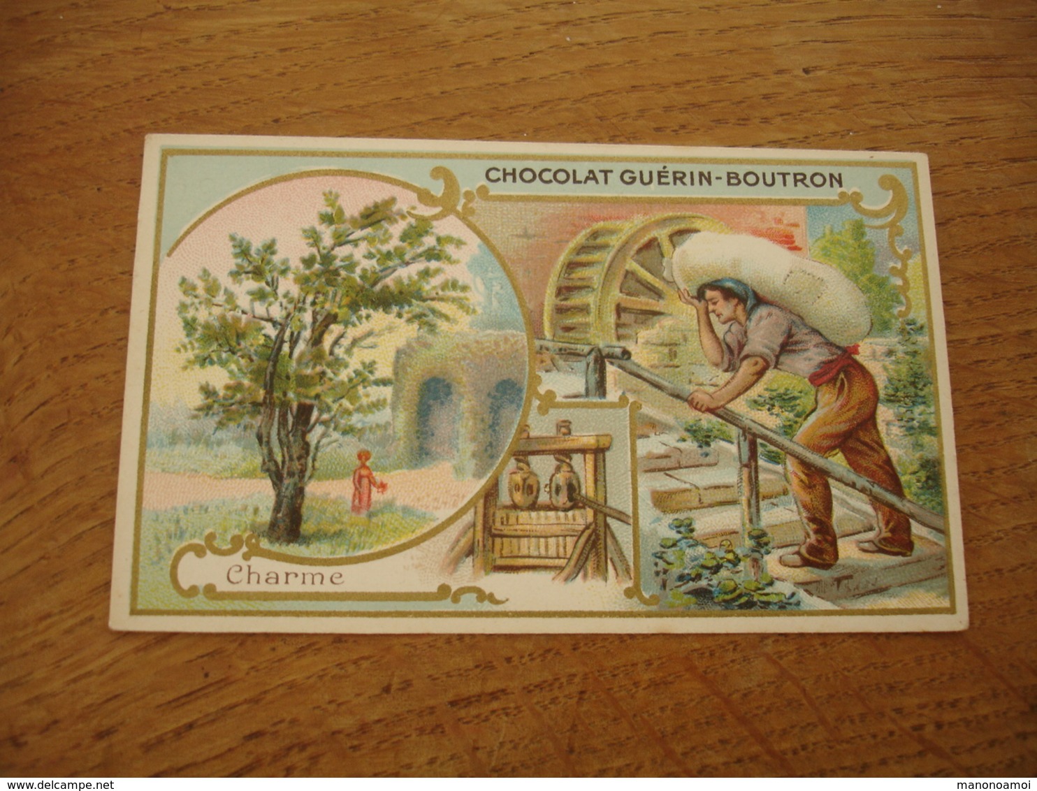 Charme Serie Les Arbres Chocolat Guerin Boutron E - Guérin-Boutron