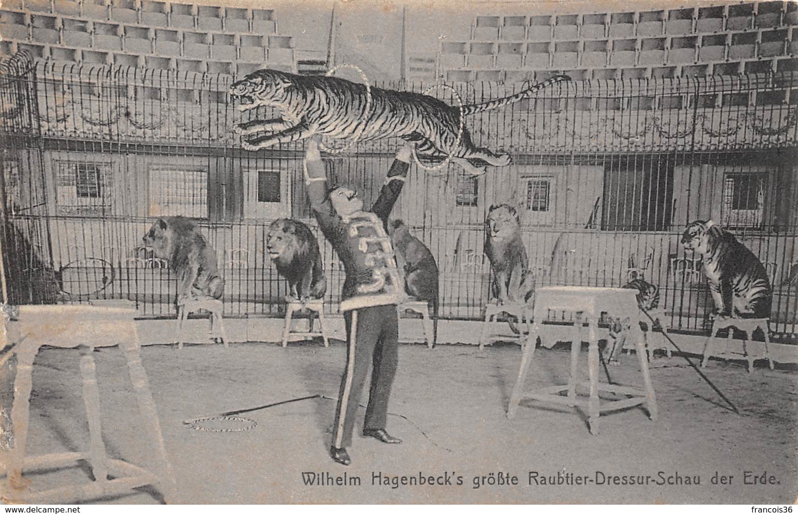 Wilhelm Hagenbeck's Grösste Raubtier Dressur Schau Der Erde - Cirque Circus - Dompteur De Lion Et Tigre - Tiger Lions - Cirque