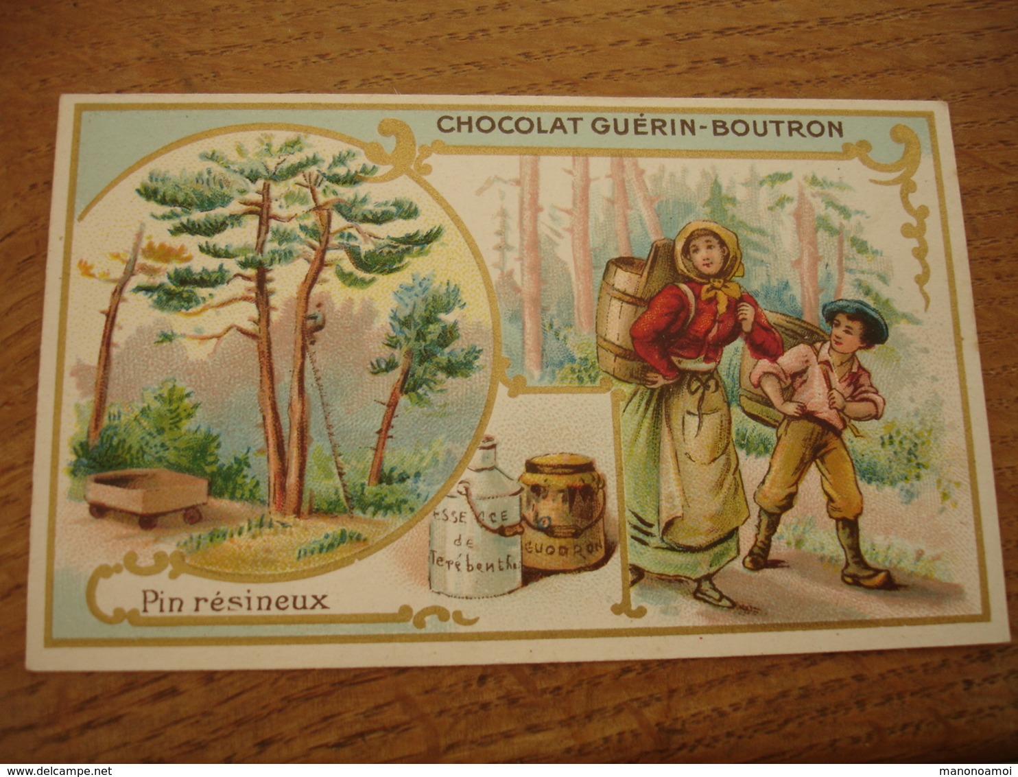 Pin Resineux Serie Les Arbres Chocolat Guerin Boutron E - Guerin Boutron