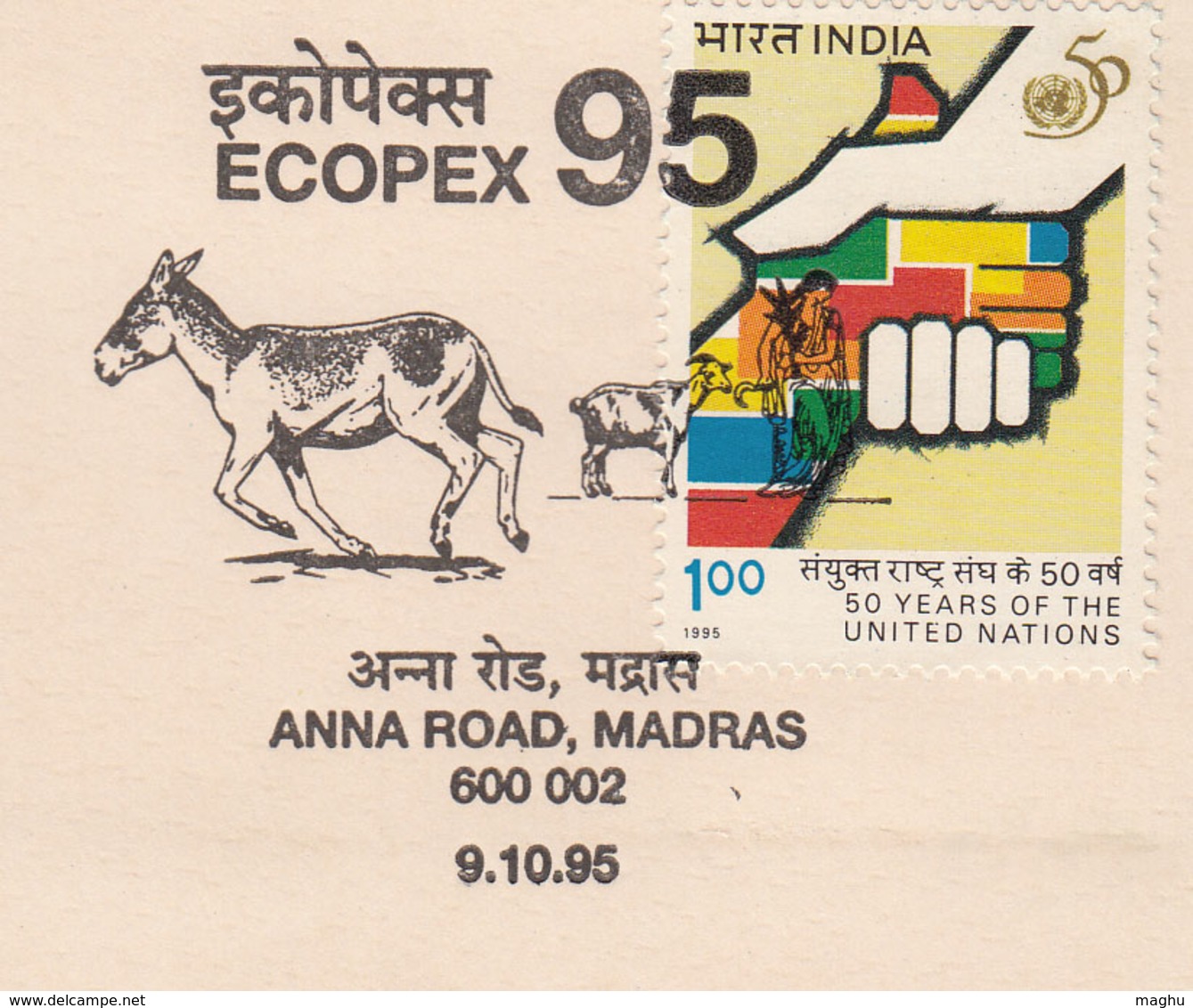 Ass, Donkey, Goat, Cow, Animail, Tree Environment Protection, Pollution Impct, , ECOPEX 95, Philately Exhibition 1995 - Asini