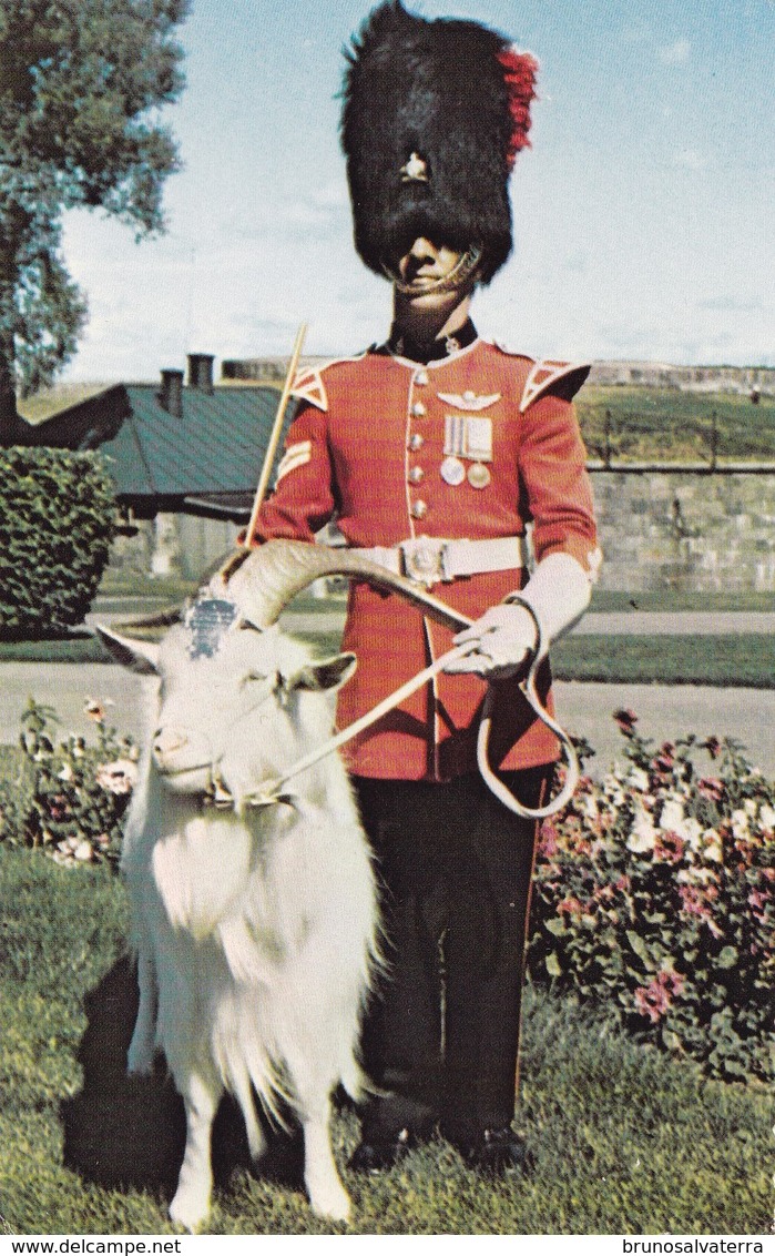 BAPTISTE - La Mascotte Du Royal 22° Régiment à La Citadelle - Moderne Ansichtskarten