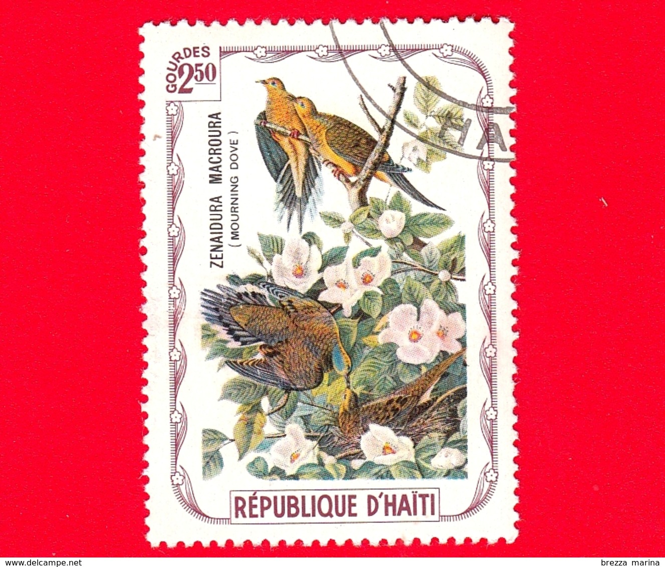 HAITI - Etichetta Fantasia - 1975 - Uccelli - Birds - Oiseaux - Tortora - Zenaida Macroura - 2.50 - Etichette Di Fantasia