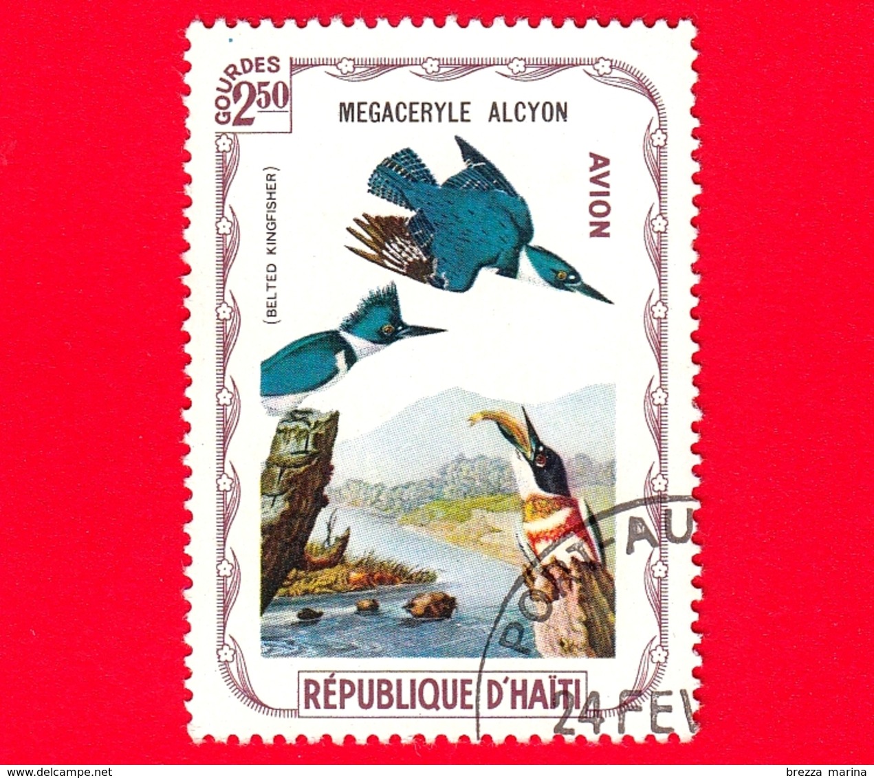 HAITI - Etichetta Fantasia - 1975 - Uccelli - Birds - Oiseaux - Martin Pescatore - Megaceryle Alcyon - 2.50- Aerea - Fantasy Labels