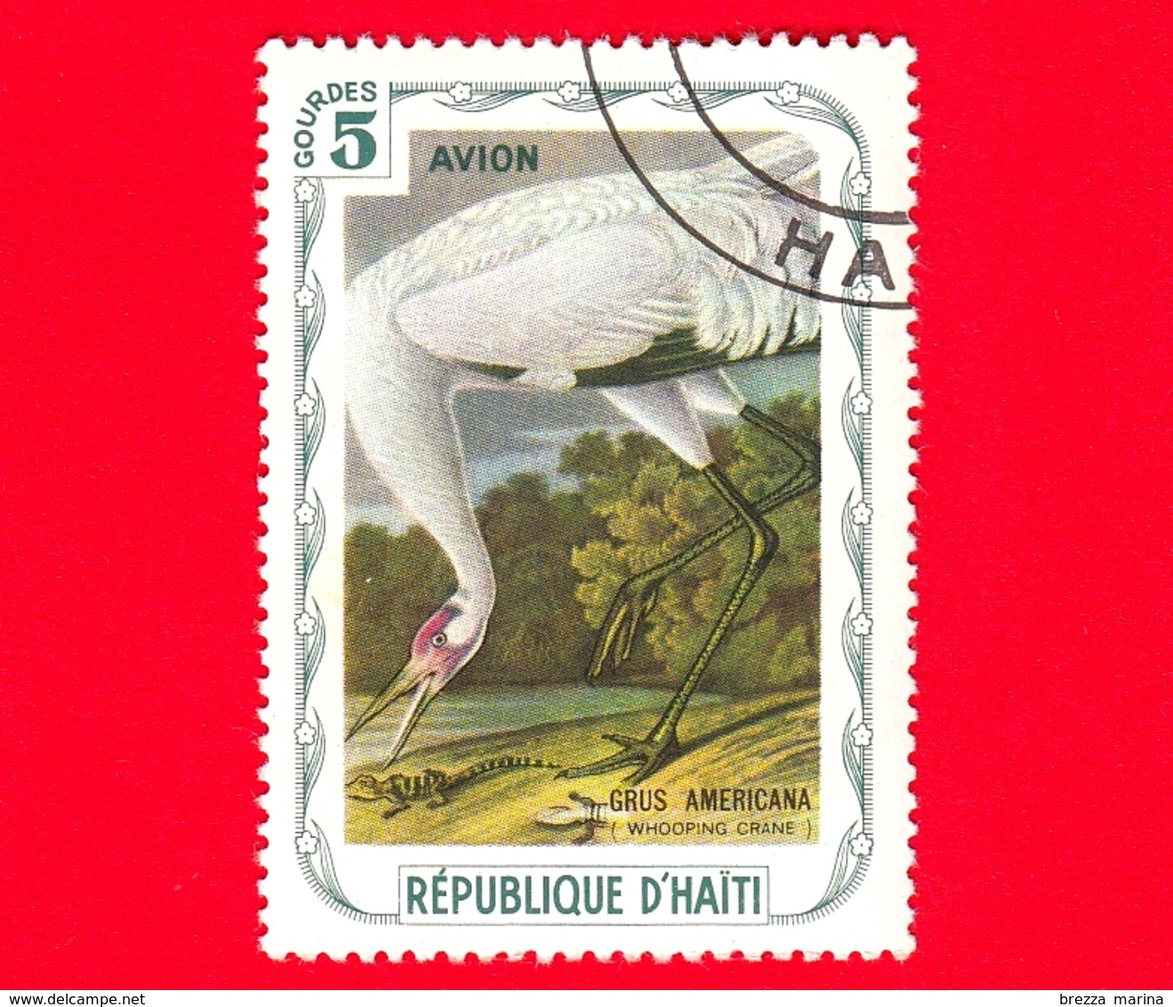 HAITI - Etichetta Fantasia - 1975 - Uccelli - Birds - Oiseaux - Gru - Grus Americana - 5 - Fantasie Vignetten