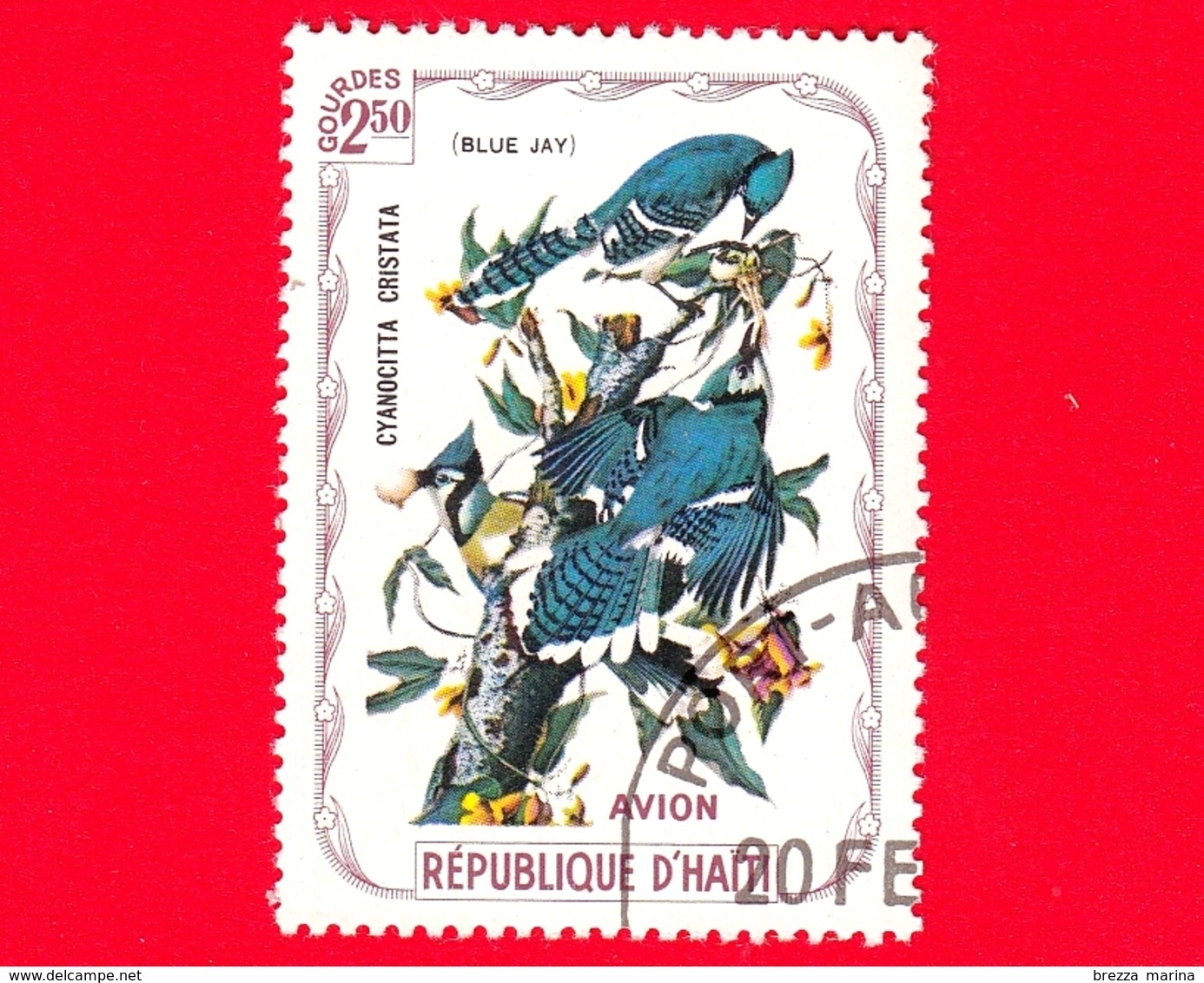 HAITI - Etichetta Fantasia - 1975 - Uccelli - Birds - Oiseaux - Giandaia Azzurra - Cyanocitta Cristata - 2.50 - Aerea - Etichette Di Fantasia