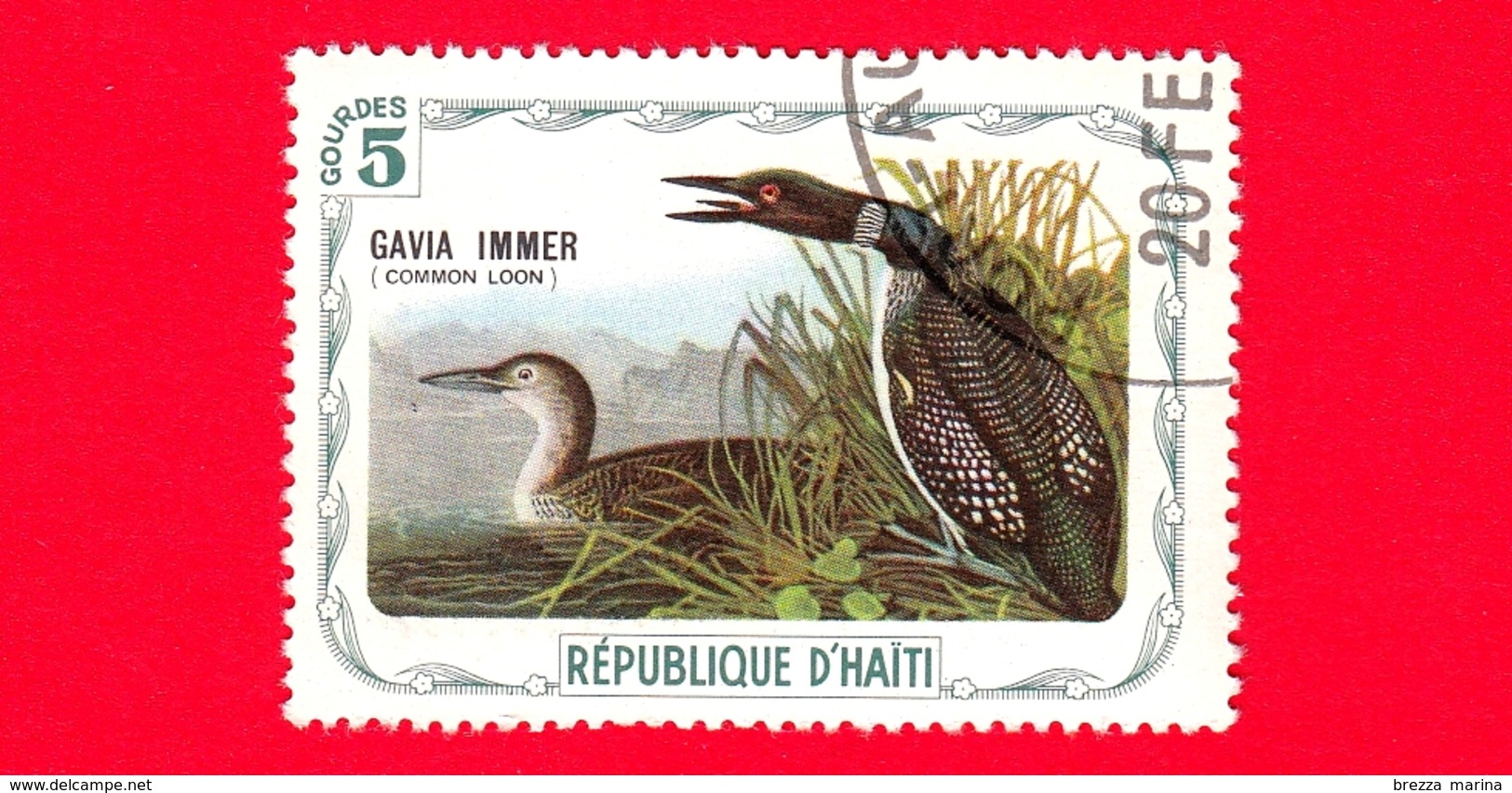 HAITI - Etichetta Fantasia - 1975 - Uccelli - Birds - Oiseaux - Strolaga Maggiore - Gavia Immer - 5 - Etichette Di Fantasia