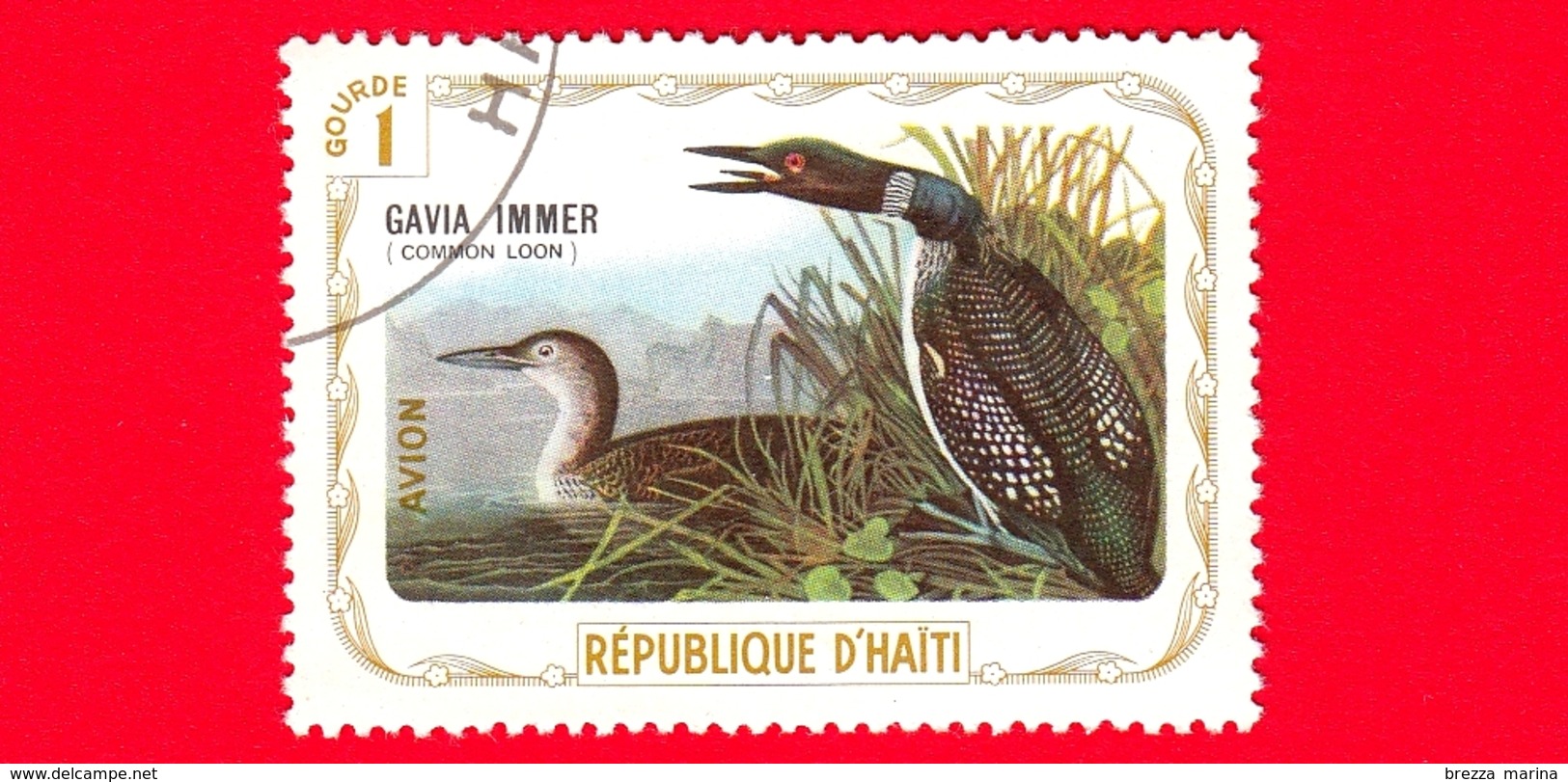 HAITI - Etichetta Fantasia - 1975 - Uccelli - Birds - Oiseaux - Strolaga Maggiore - Gavia Immer - 1 - Aerea - Etichette Di Fantasia