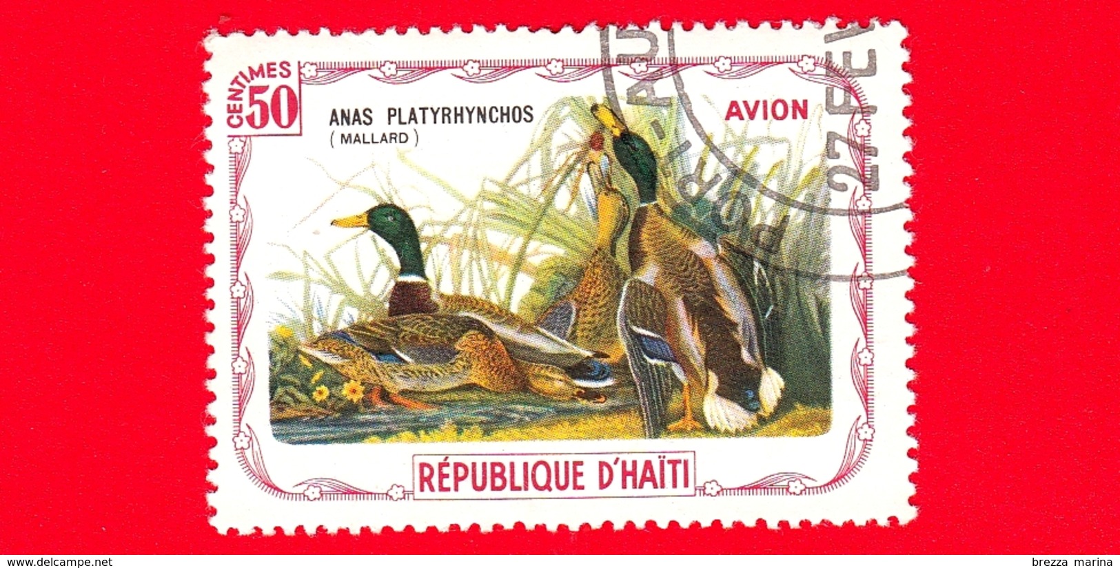 HAITI - Etichetta Fantasia - 1975 - Uccelli - Birds - Oiseaux - Anatre - Anas Platyrhynchos - 50 - Aerea - Fantasy Labels