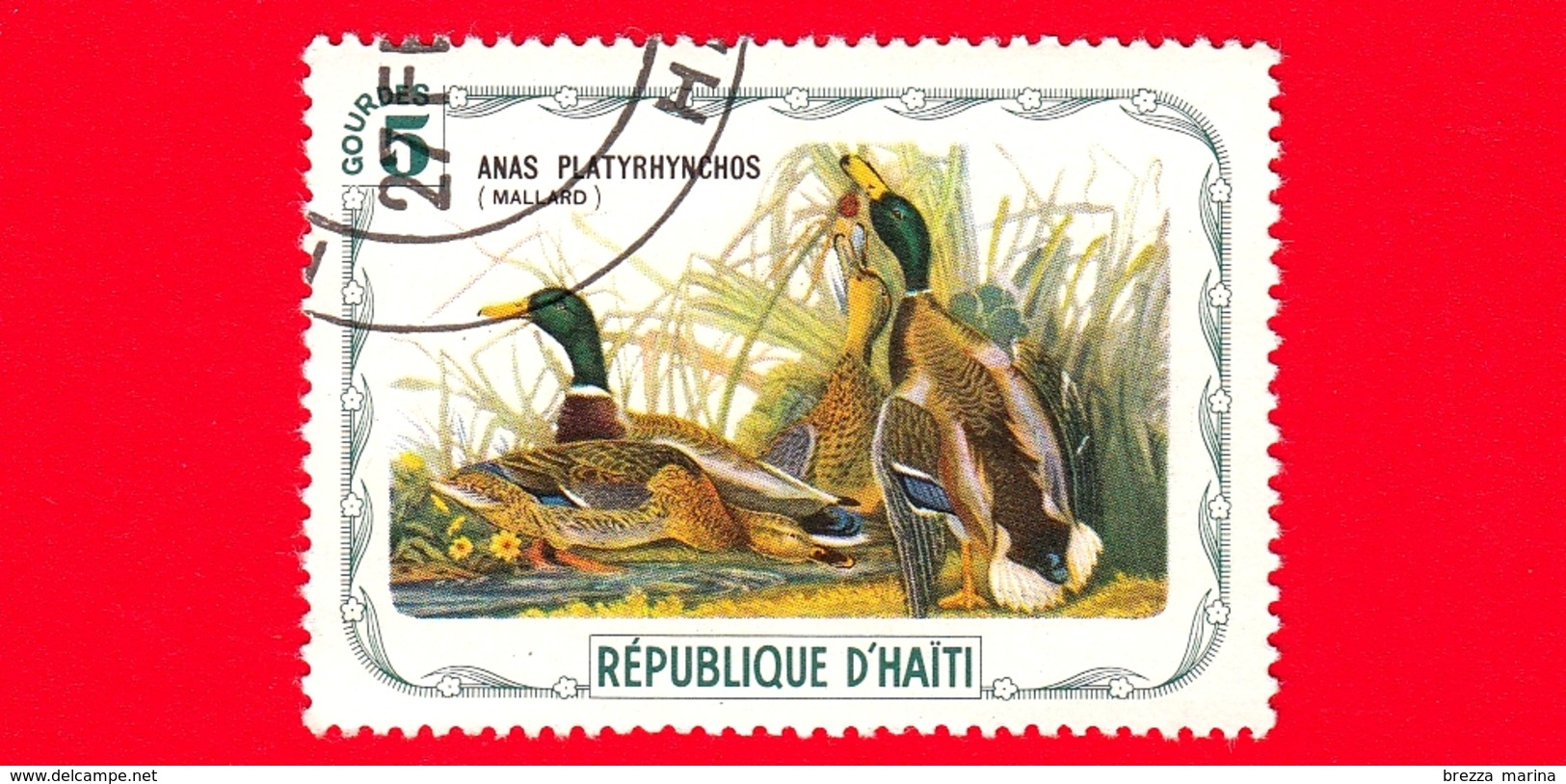 HAITI - Etichetta Fantasia - 1975 - Uccelli - Birds - Oiseaux - Anatre - Anas Platyrhynchos - 5 - Etichette Di Fantasia