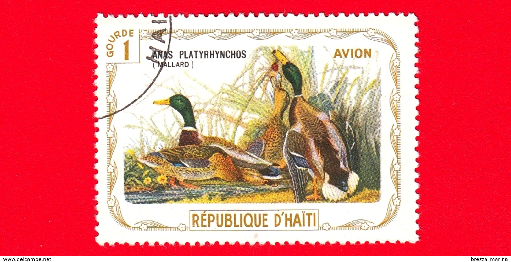 HAITI - Etichetta Fantasia - 1975 - Uccelli - Birds - Oiseaux - Anatre - Anas Platyrhynchos - 1 - Aerea - Fantasy Labels