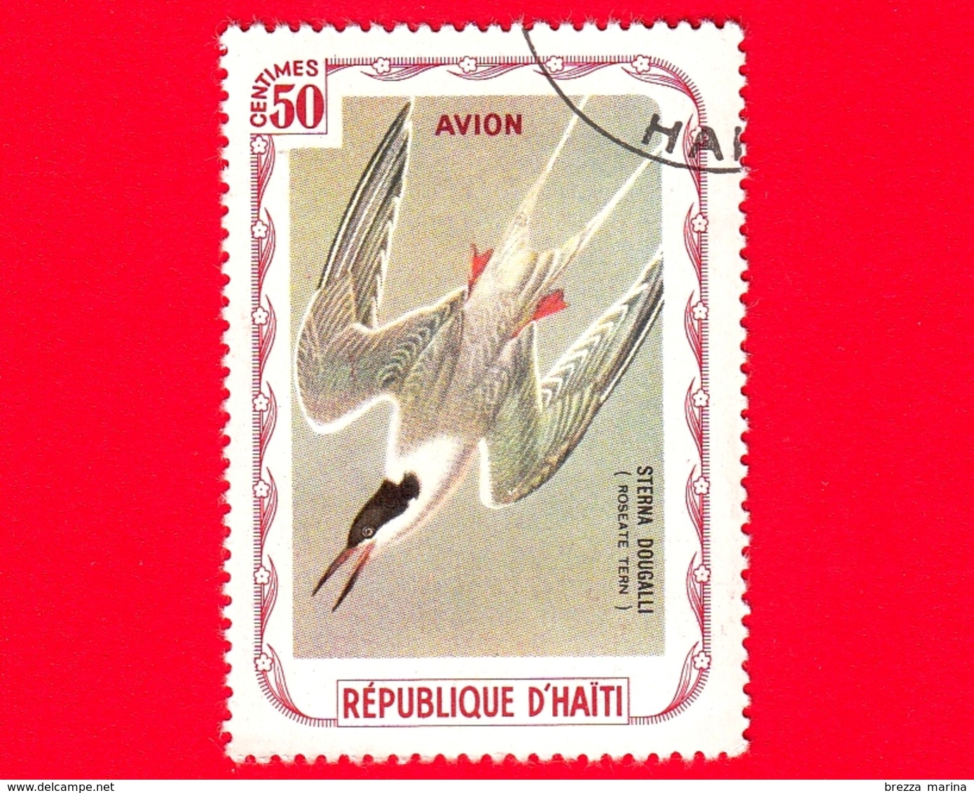 HAITI - Etichetta Fantasia - 1975 - Uccelli - Birds - Oiseaux -  Sterna Dougallii - 50 - Aerea - Etichette Di Fantasia