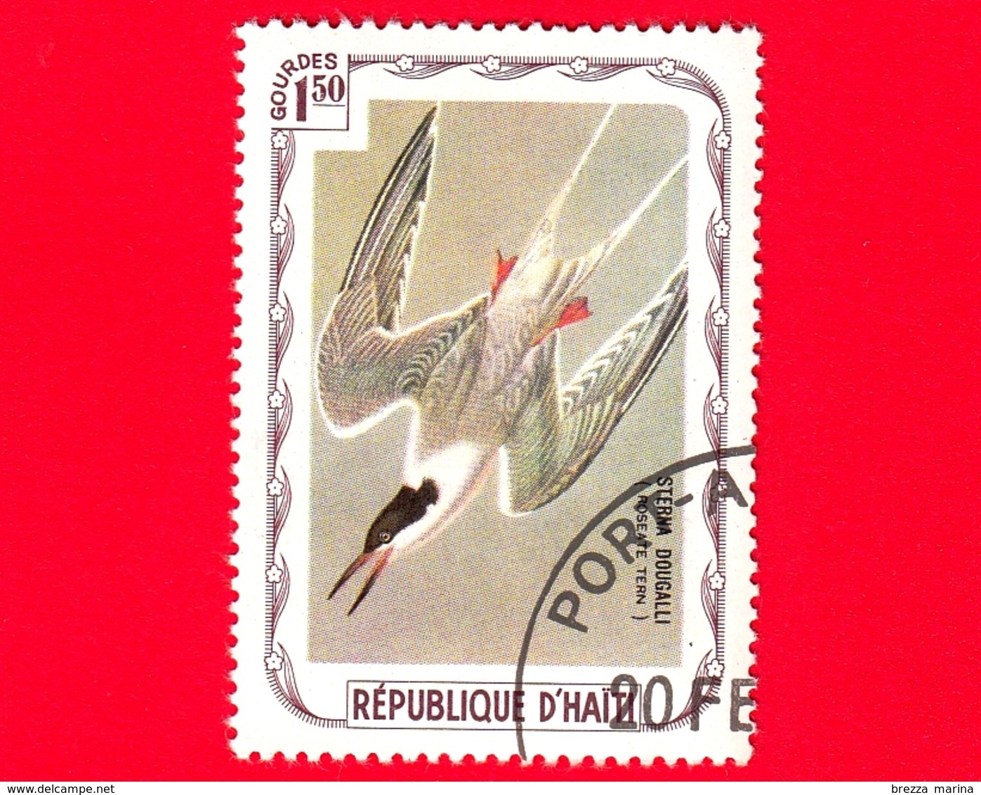 HAITI - Etichetta Fantasia - 1975 - Uccelli - Birds - Oiseaux -  Sterna Dougallii - 1.50 - Etichette Di Fantasia