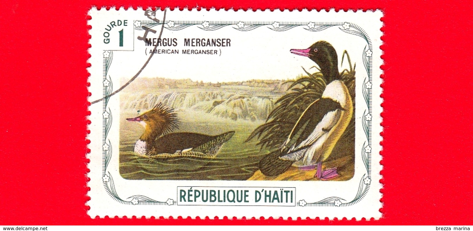 HAITI - Etichetta Fantasia - 1975 - Uccelli - Birds - Oiseaux - Smergo Maggiore - Mergus Merganser - 1 - Etichette Di Fantasia