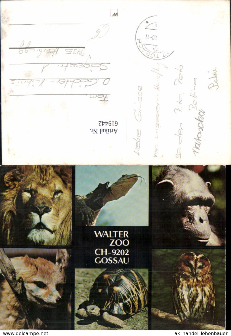 619442,Mehrbild Ak Walter Zoo Gossau L&ouml;we Affe Tiere - Gossau