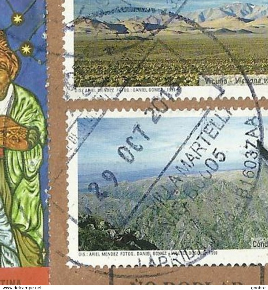 ARGENTINA To Brazil Cover Sent In 2013 With 28 Topical Stamps Registered (GN 0218) - Lettres & Documents