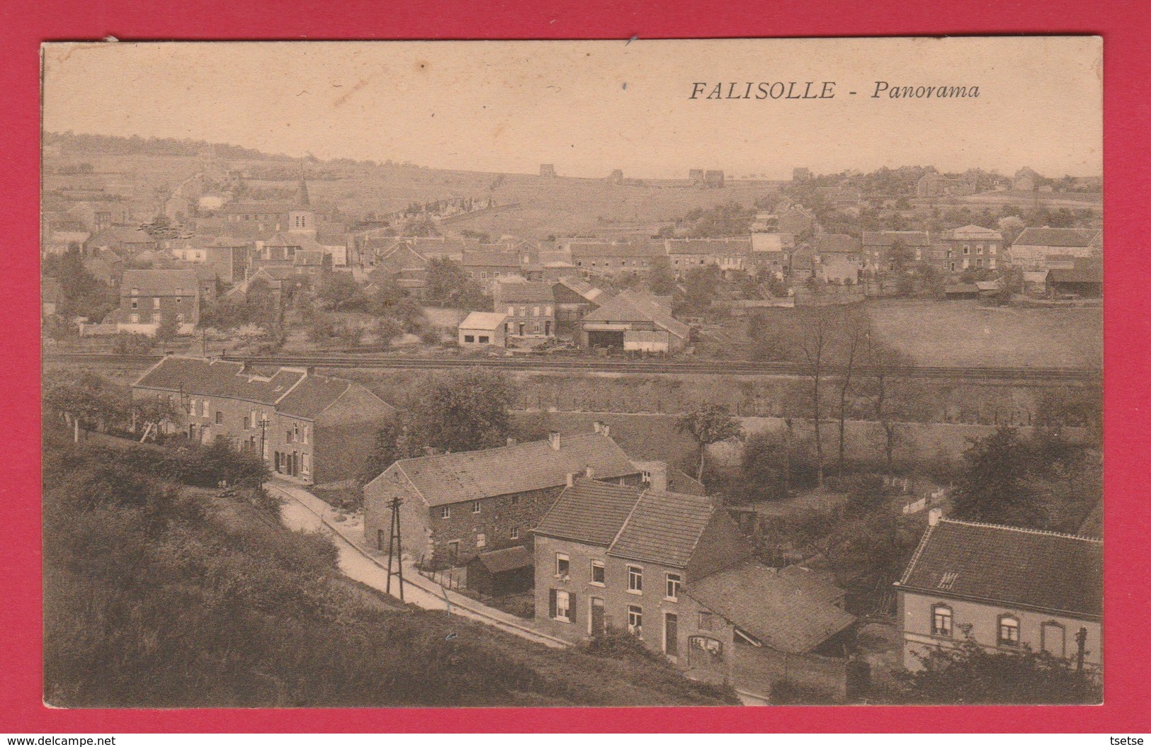 Falisolle - Joli Panorama ... De La Commune - 1 ( Voir Verso ) - Sambreville
