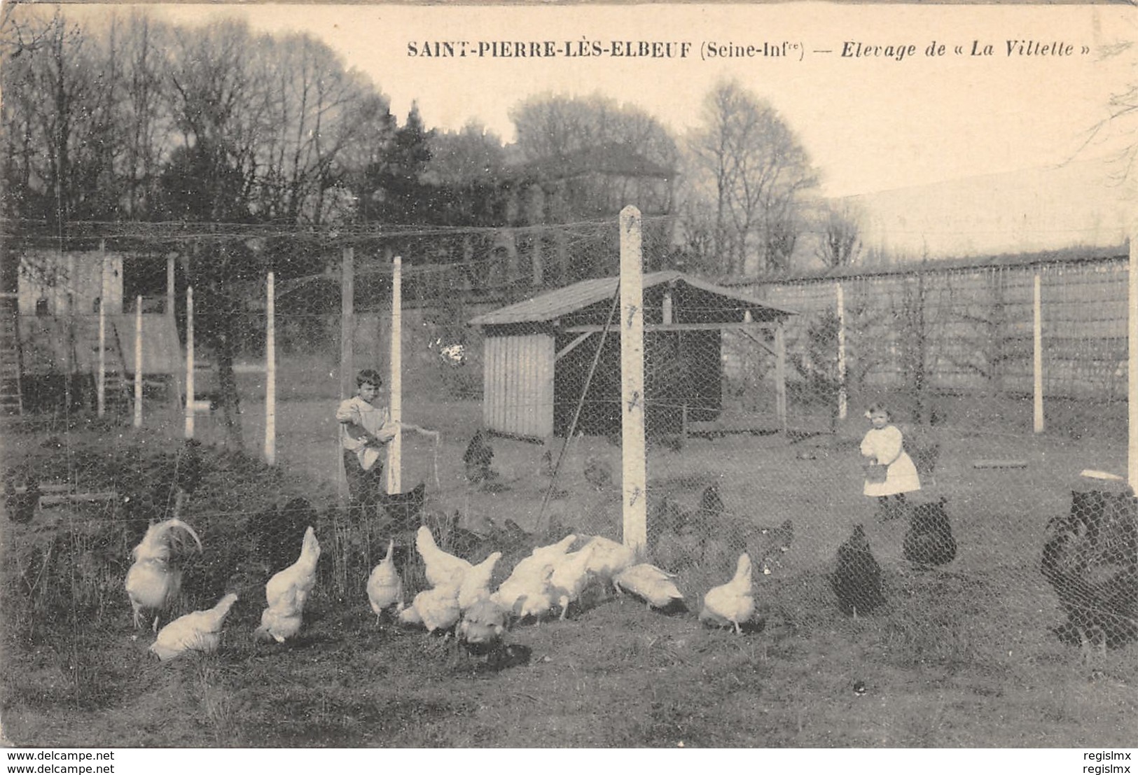 76-SAINT PIERRE LES ELBEUF-ELEVAGE DE LA VILLETTE-N°R2047-H/0193 - Autres & Non Classés