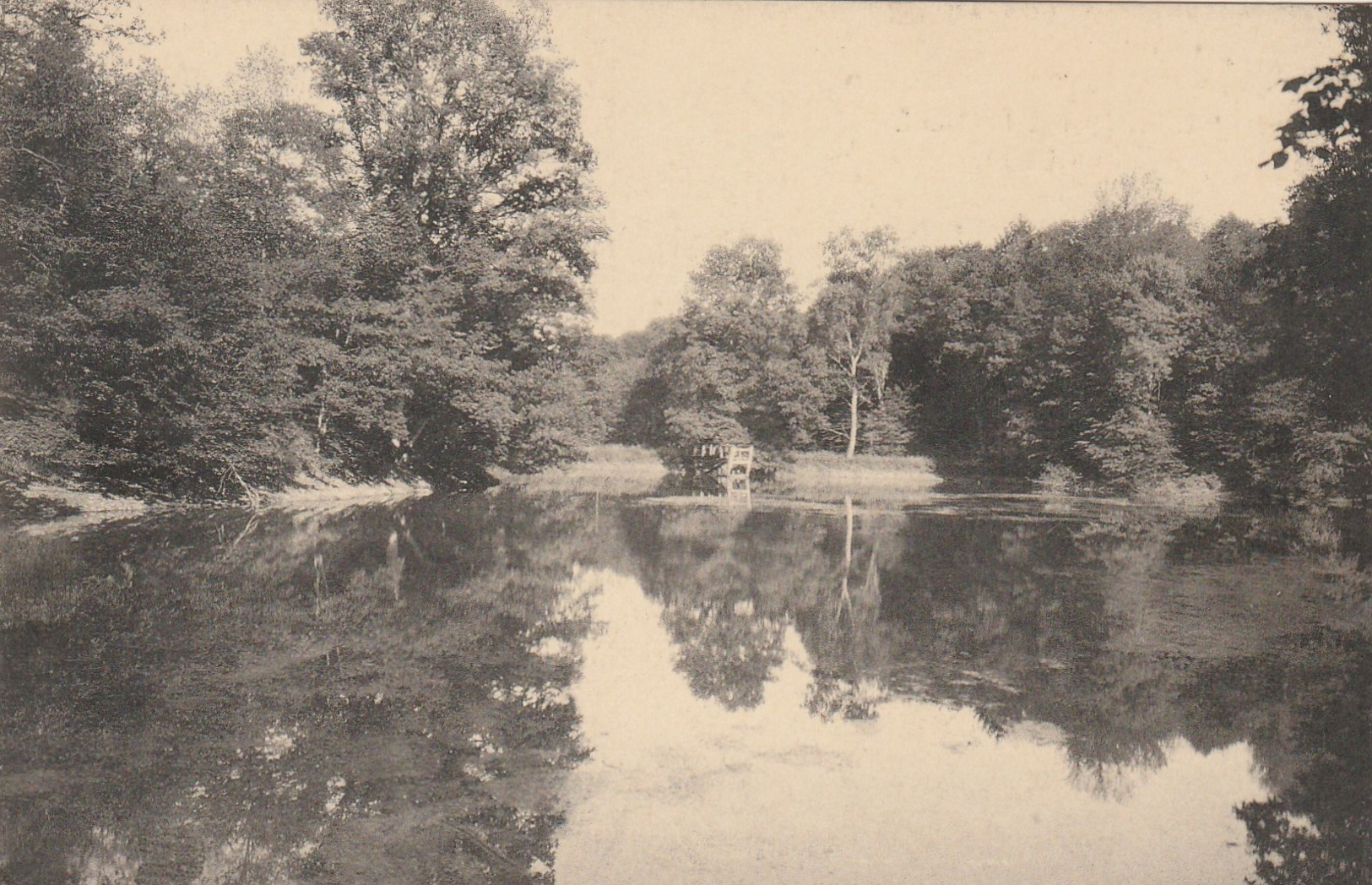 SMUID ,( LIBIN ), Au Naturel Des Ardennes , Pension De Famille , L'étang Derrière Le " Tiène " - Libin