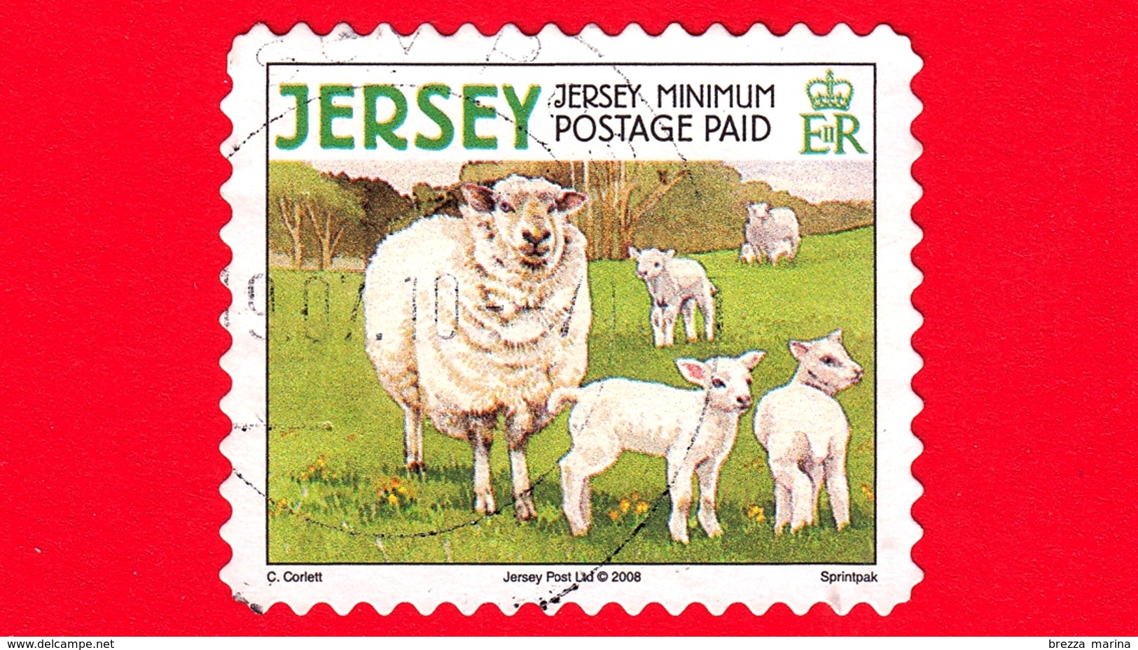 JERSEY - Usato - 2008 - Animali Della Fattoria - Pecore E Agnelli - Domestic Sheep (Ovis Ammon Aries) - Minimum - Jersey