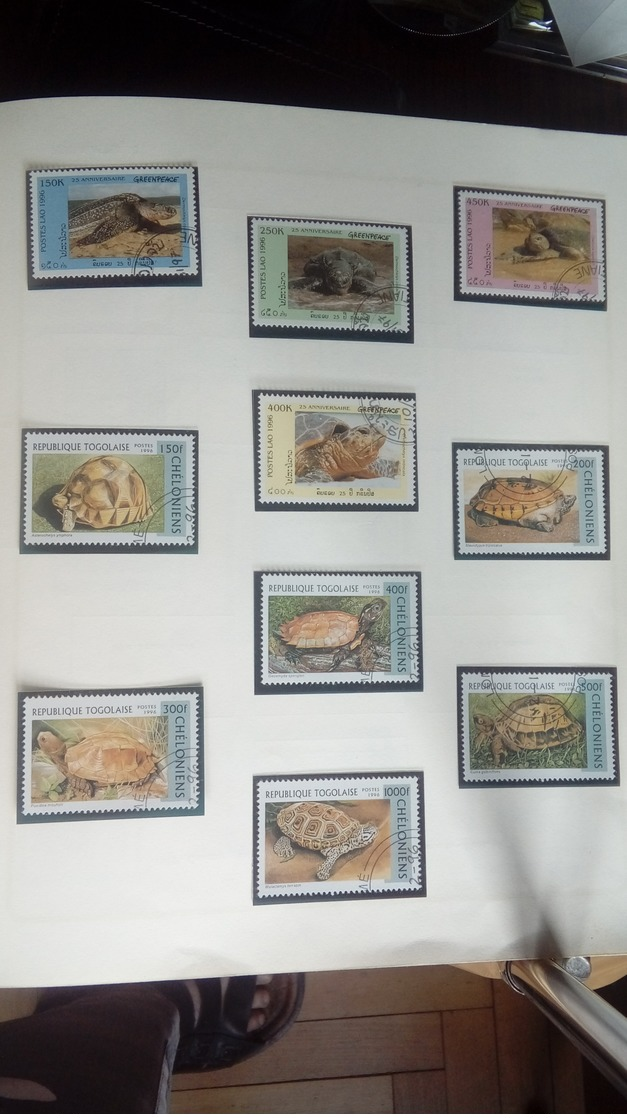 francobolli varie apoche e paesi divisi per temi animali macchine  polonia vietnam ecc ecc non linguettati molto freschi