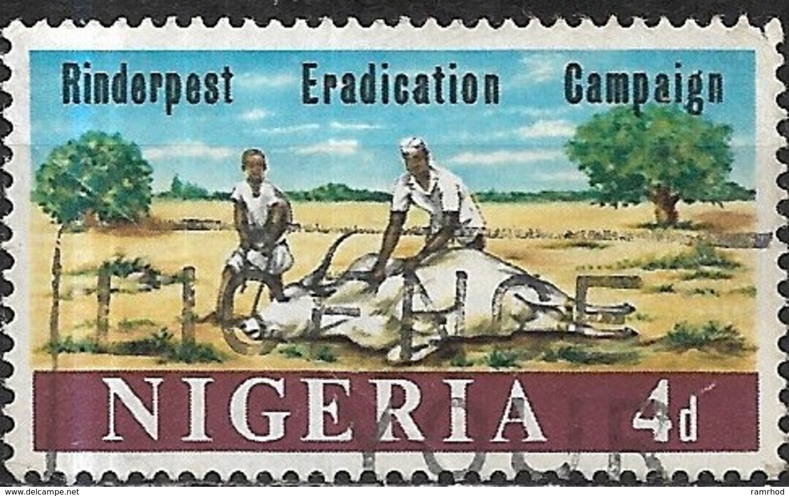 NIGERIA 1966 Rinderpest Eradication Campaign - 4d Tending Sick Animal FU - Nigeria (1961-...)