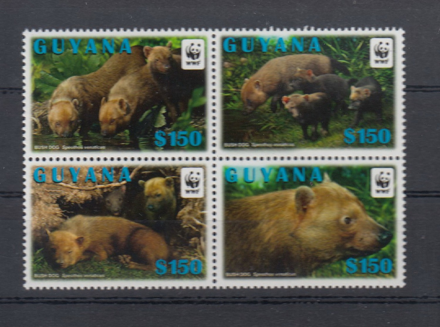 Guyana  Michel Cat.No.   Mnh/** 8134/8137 Wwf - Guyane (1966-...)