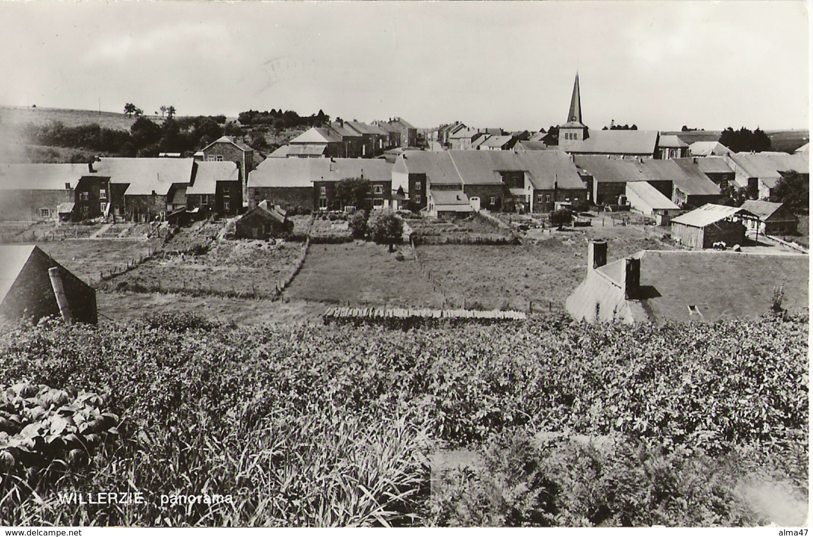 Willerzie - Panorama - Circulé 1975 - Edit. SMETZ - Maison Bernard Emile, L'Abeille - Gedinne