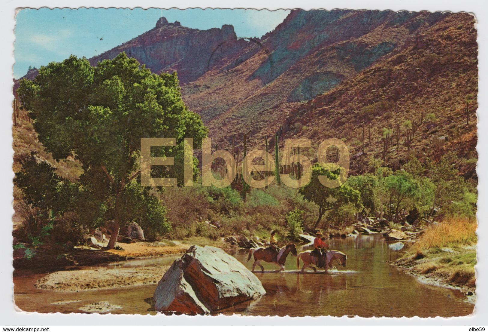 U.S.A., Tucson (AZ - Arizona) Sabino Canyon, Used - Tucson