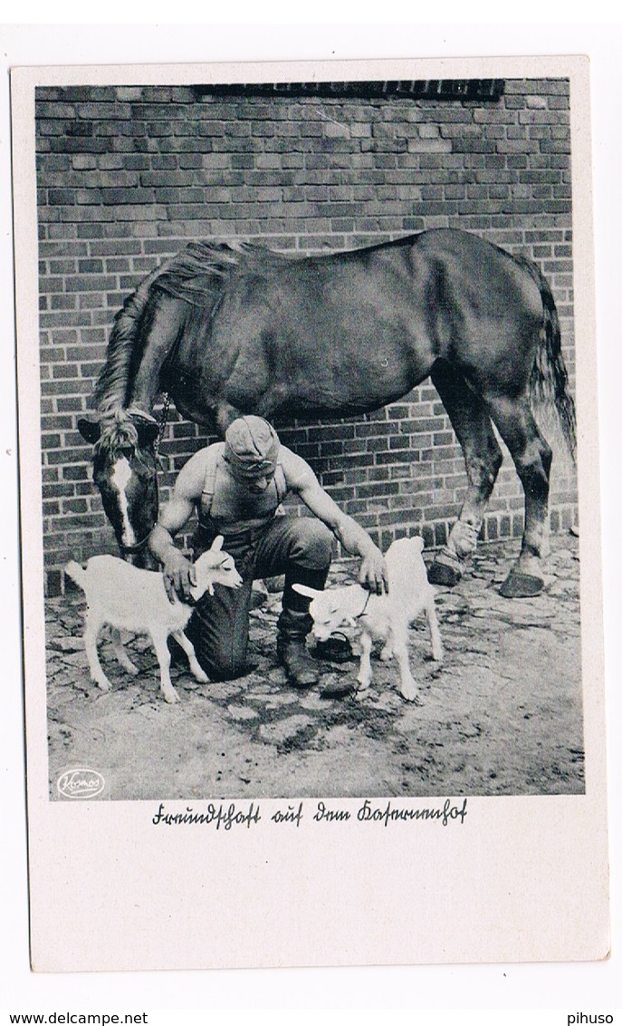 OOR-33   German Soldier Is Petting Some Goats - Guerre 1939-45