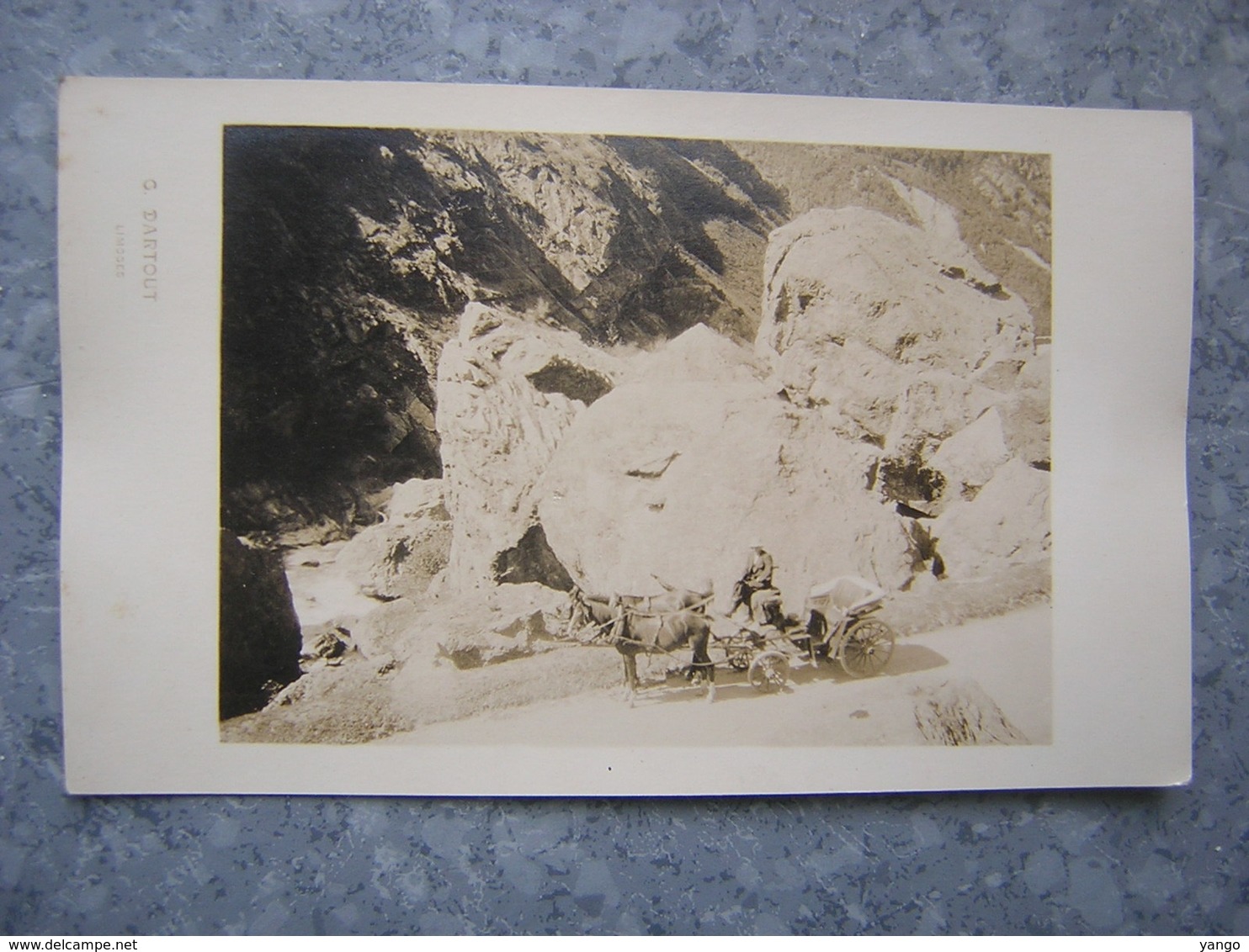 CARTE PHOTO A SITUER - PHOTO G. DARTOUT - LIMOGES - Limoges