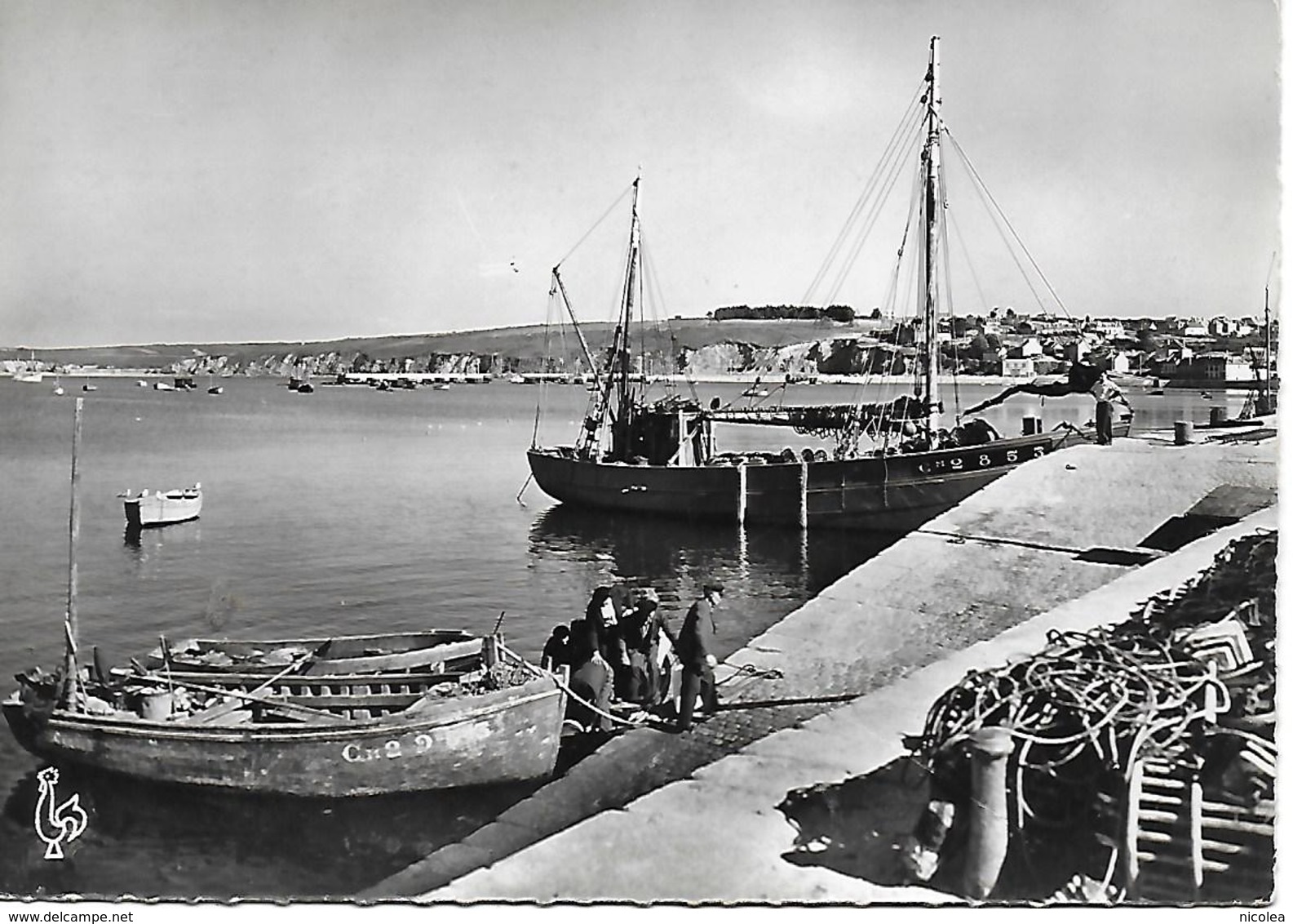 29 CAMARET LE PORT ET LES QUATRE VENTS ANNEES 50 BATEAUX D'EPOQUE MARINS .. CARTE NON POSTEE BON ETAT - Camaret-sur-Mer