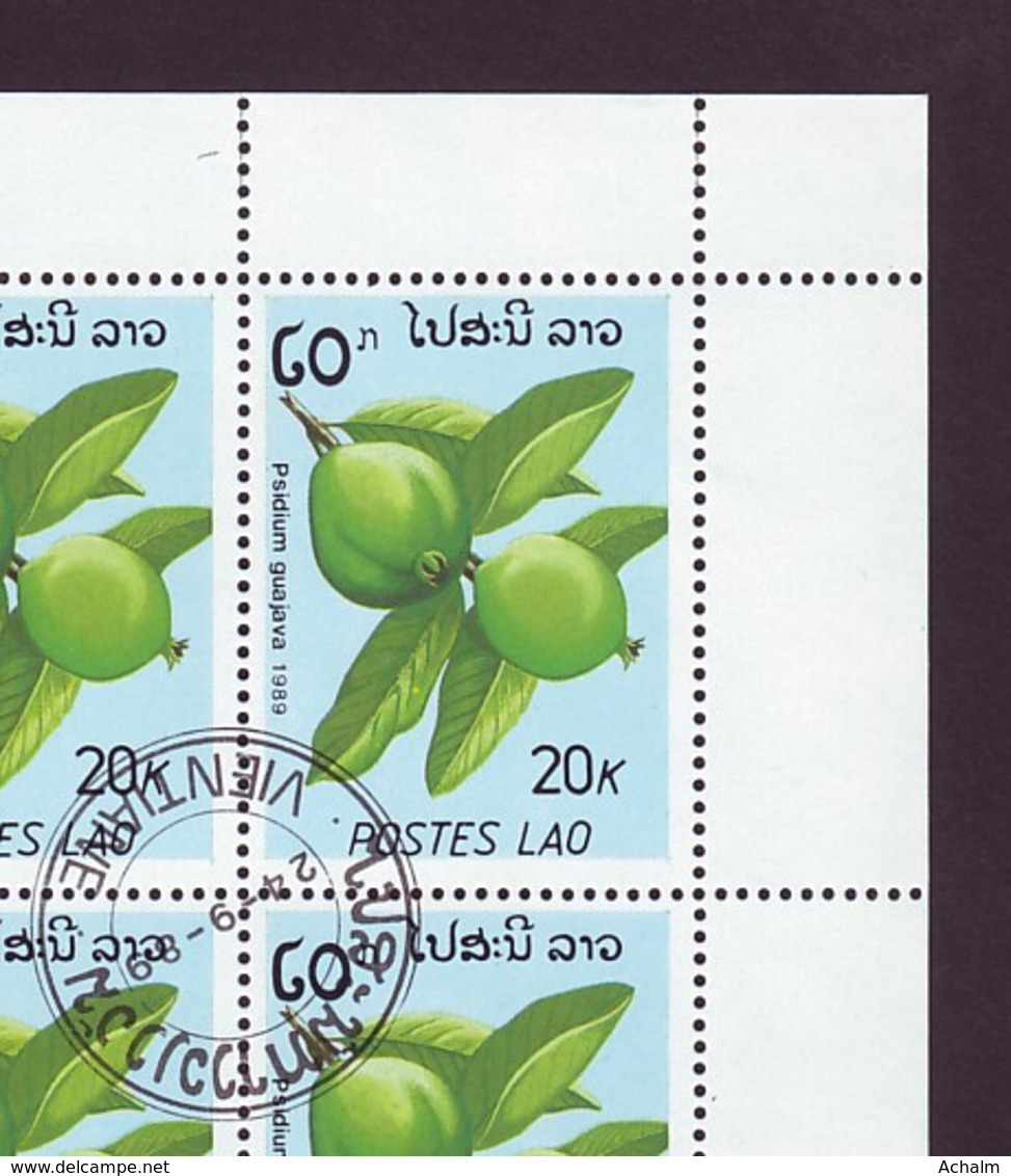 Laos 1989 / Sheet Of Stamps 40 X MiNr. 1171 Used / Fruits - Psidium Guajava - Laos